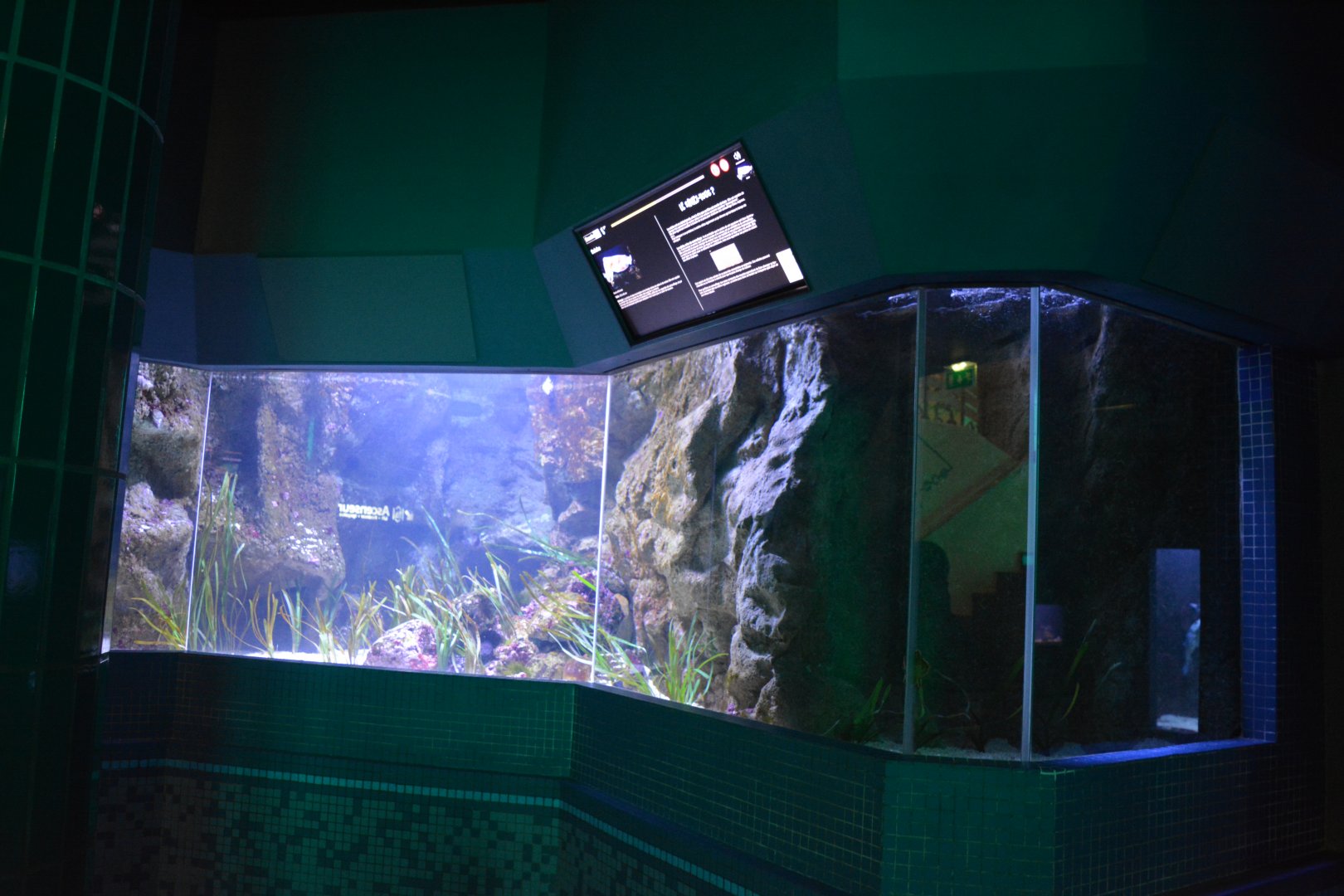 Aquarium Biarritz - One of the Golf of Vizcaya aquariums