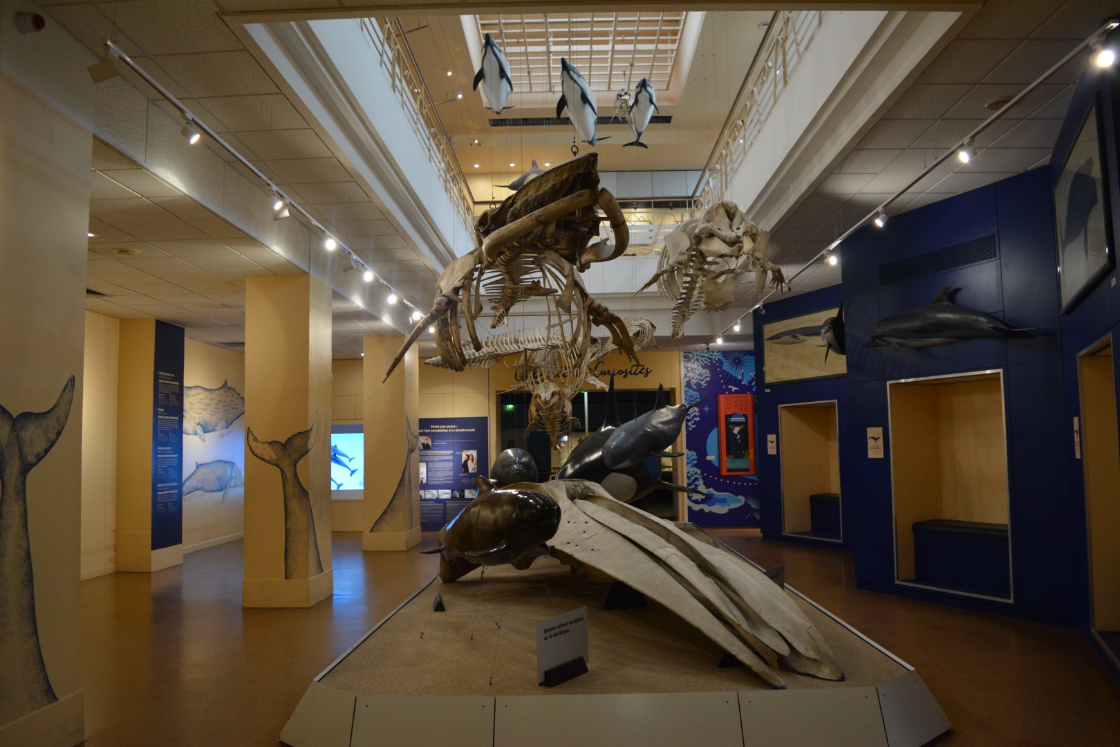 Aquarium Biarritz - Part of the sea museum