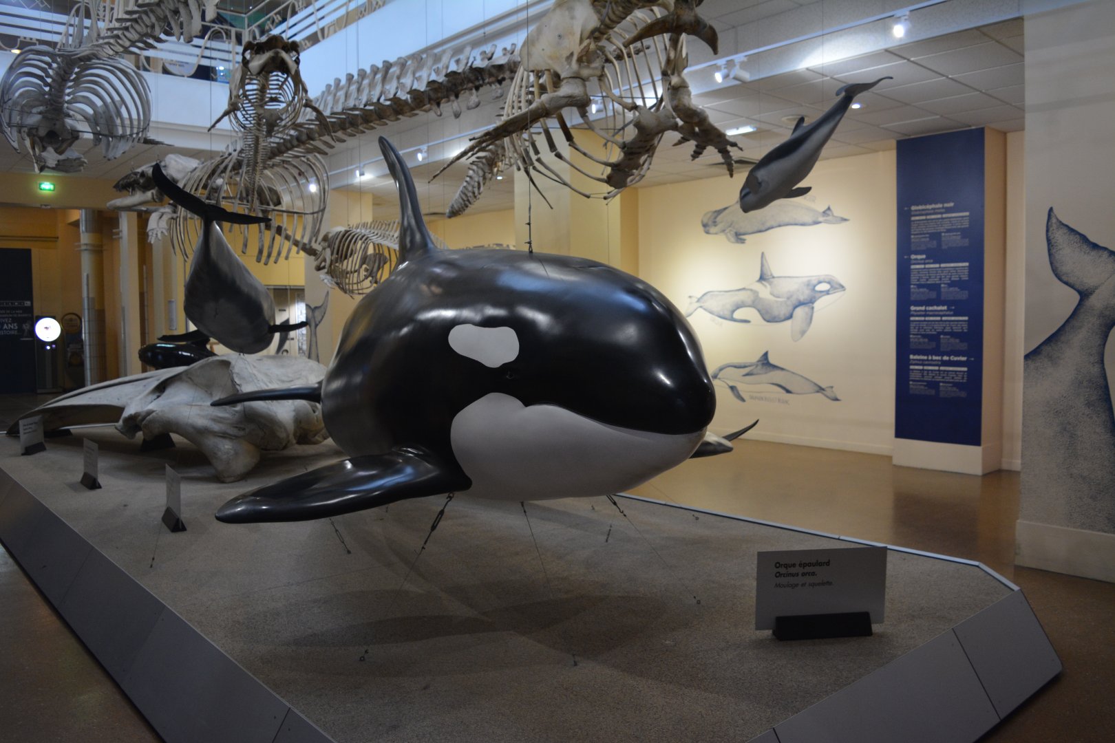 Aquarium Biarritz - Part of the sea museum