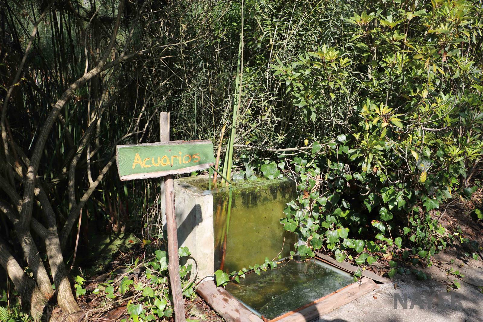 Aquarium - Bioparque la Reserva, March 2016