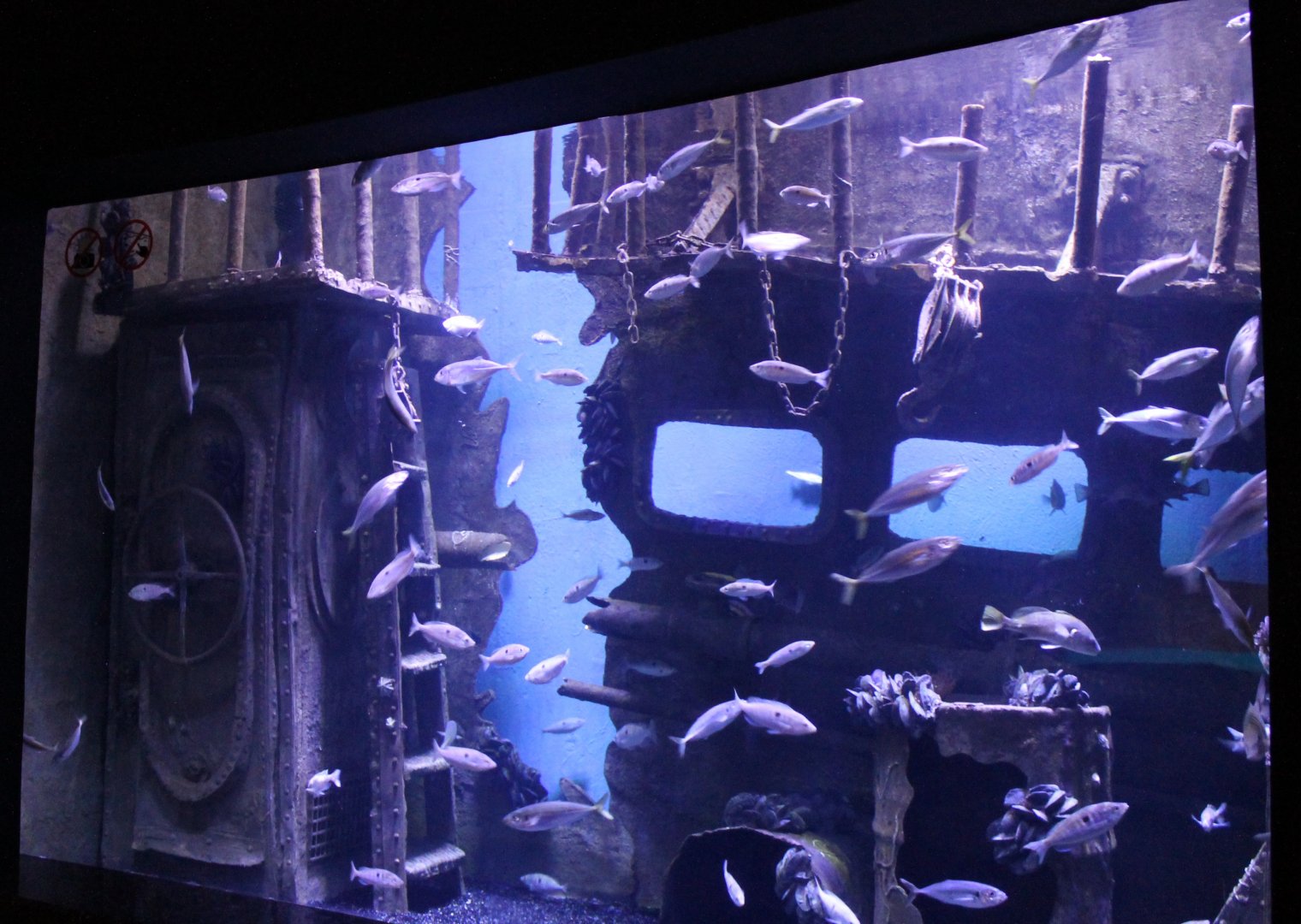 Aquarium Black Sea