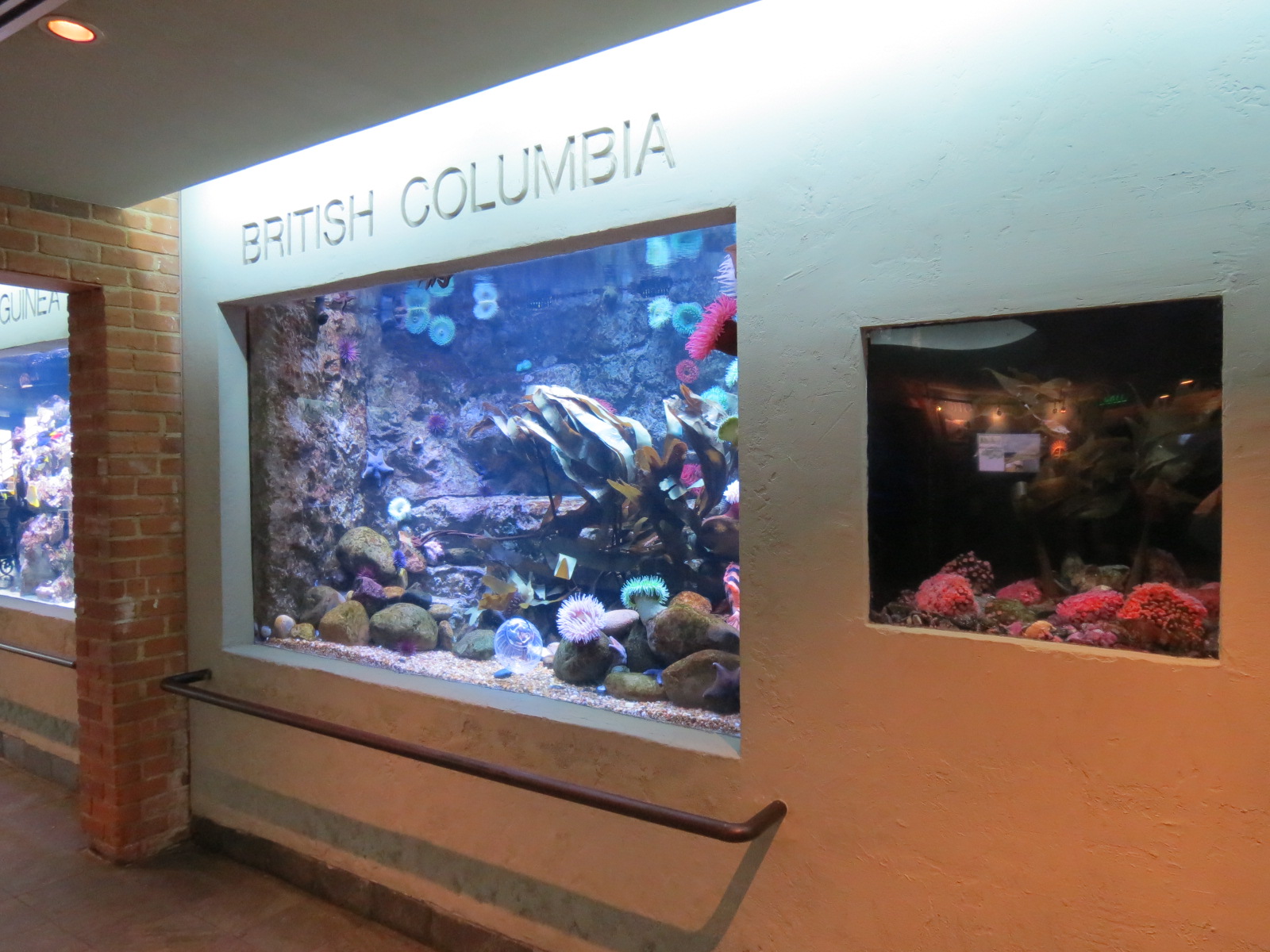 Aquarium - British Columbia Exhibits