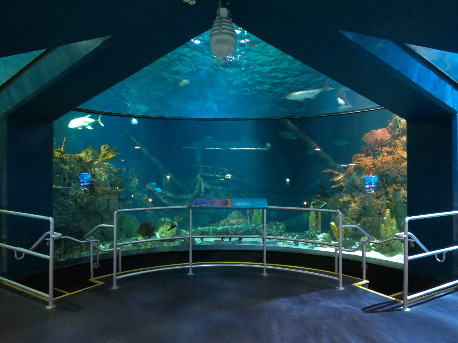 Aquarium - Caribbean - Main Exhibit