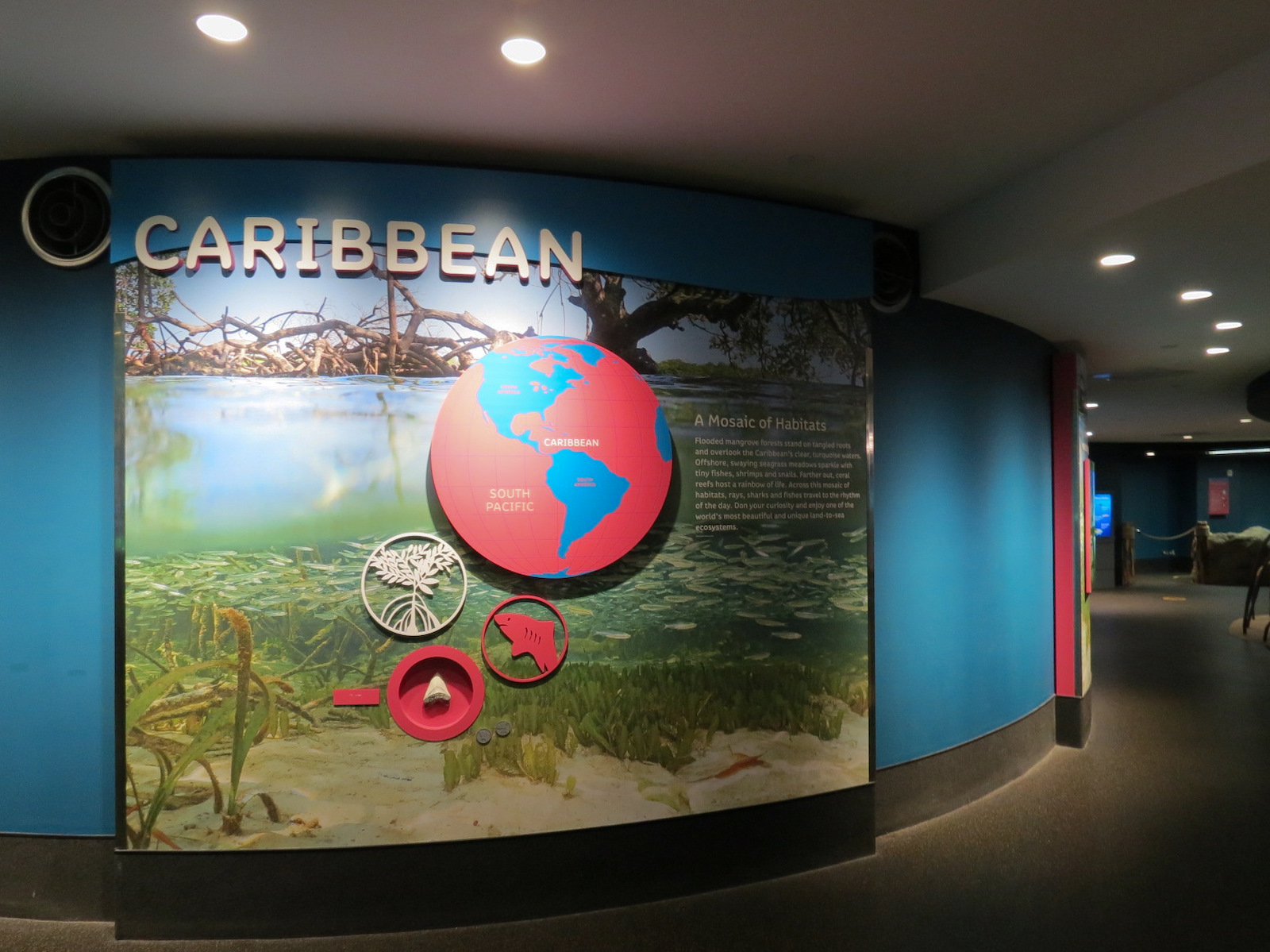Aquarium - Caribbean - Sign