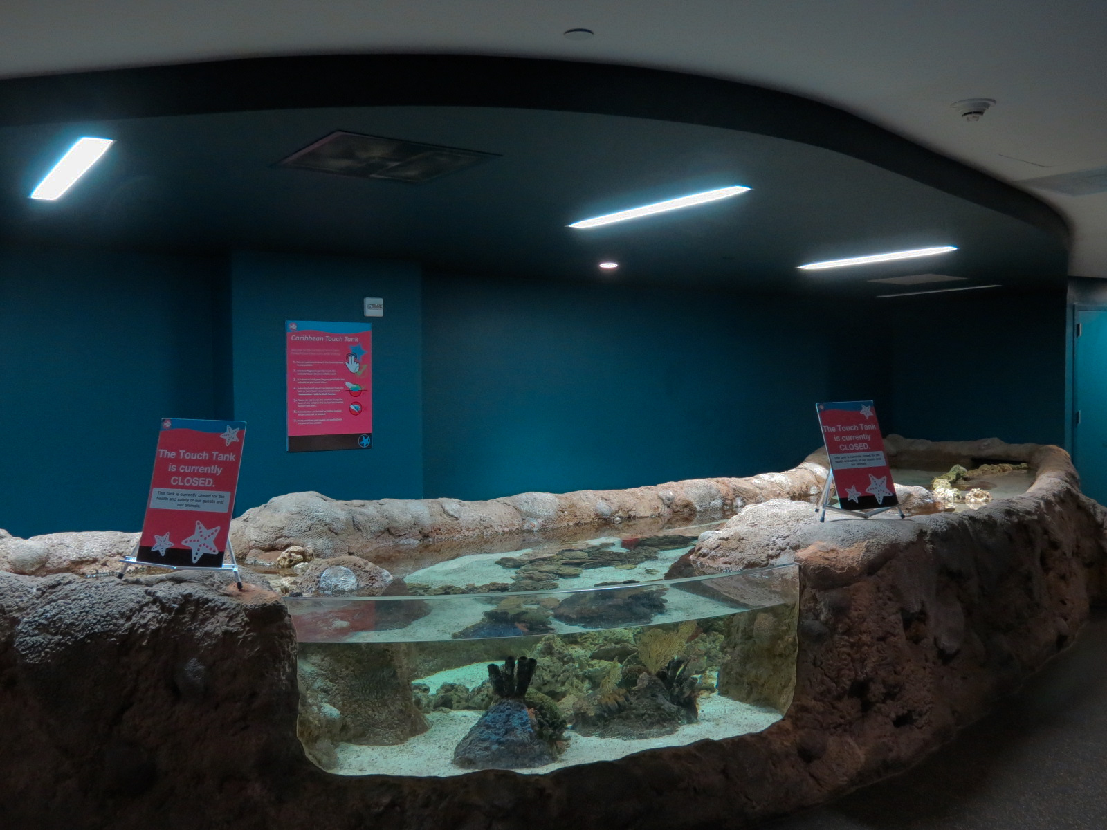 Aquarium - Caribbean - Touchtank