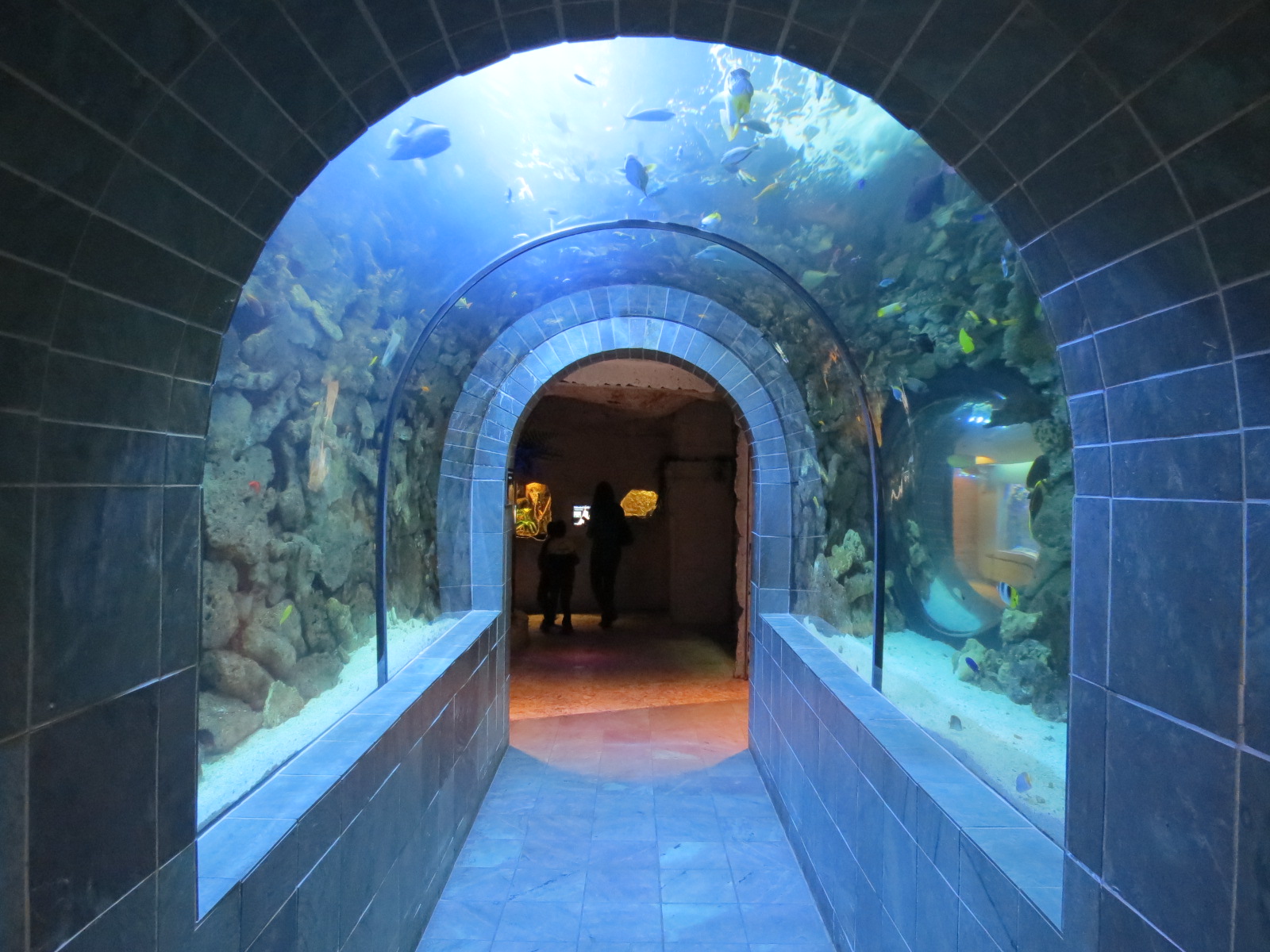 Aquarium - Continental Shelf Exhibit