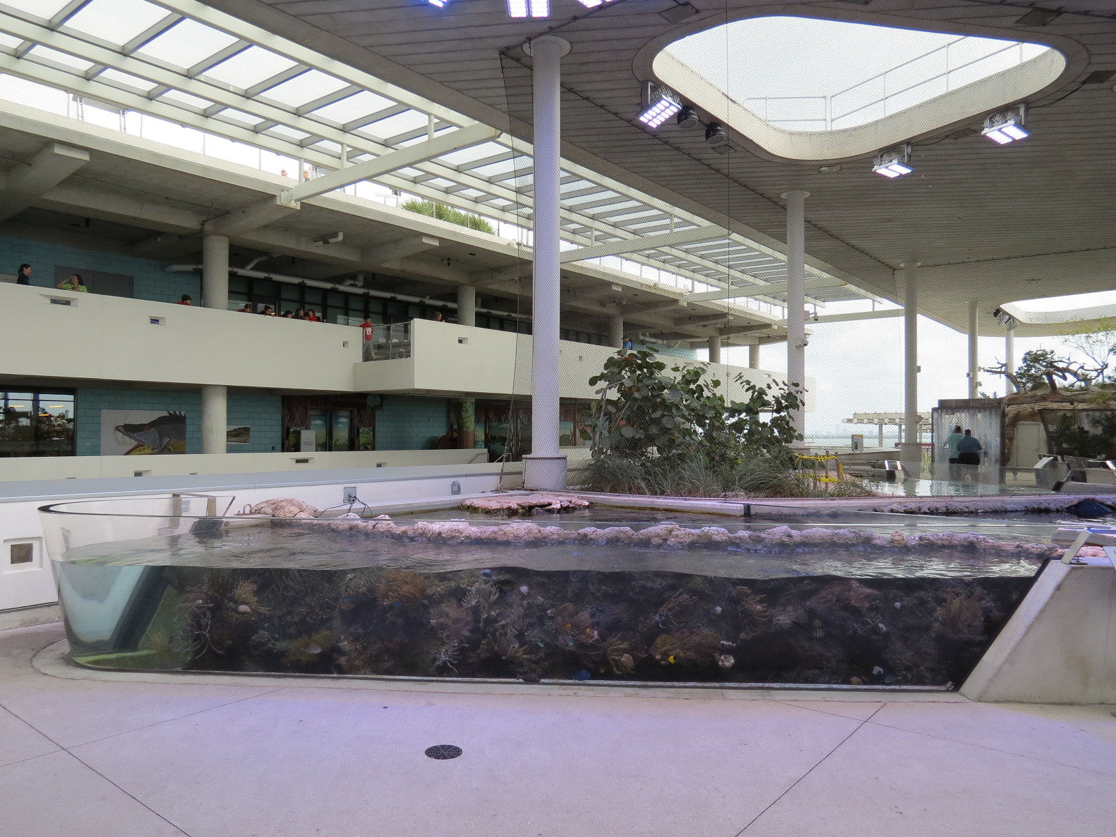 Aquarium - Coral Reef Exhibit - The Vista Level