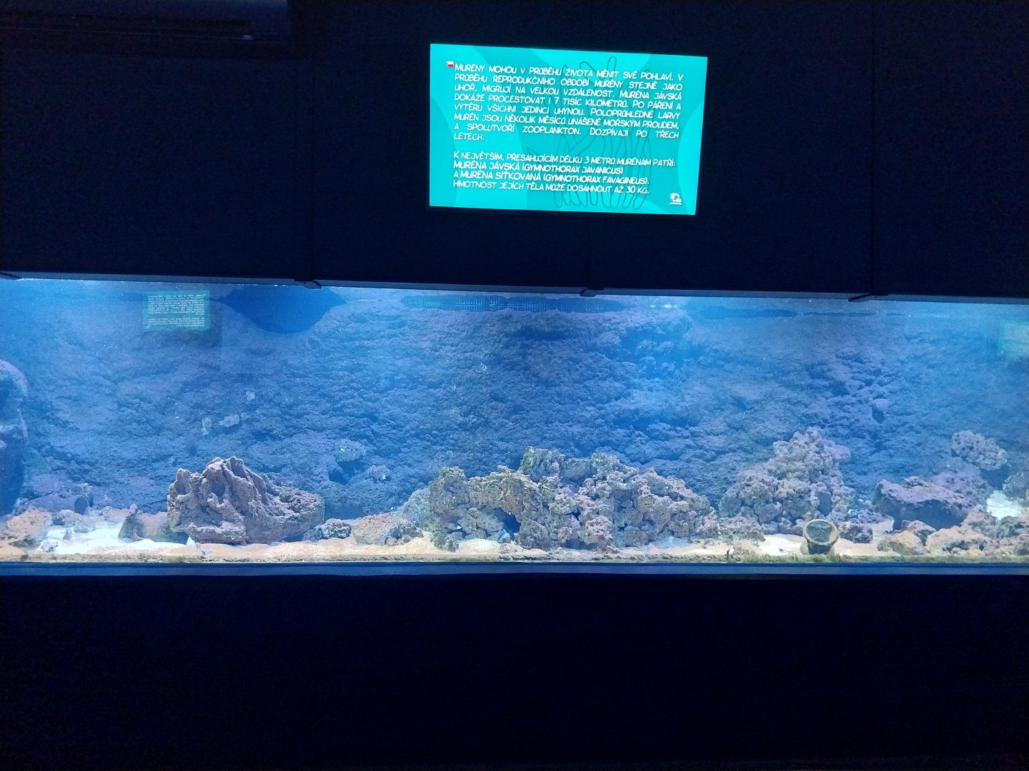 Aquarium - Coral reef