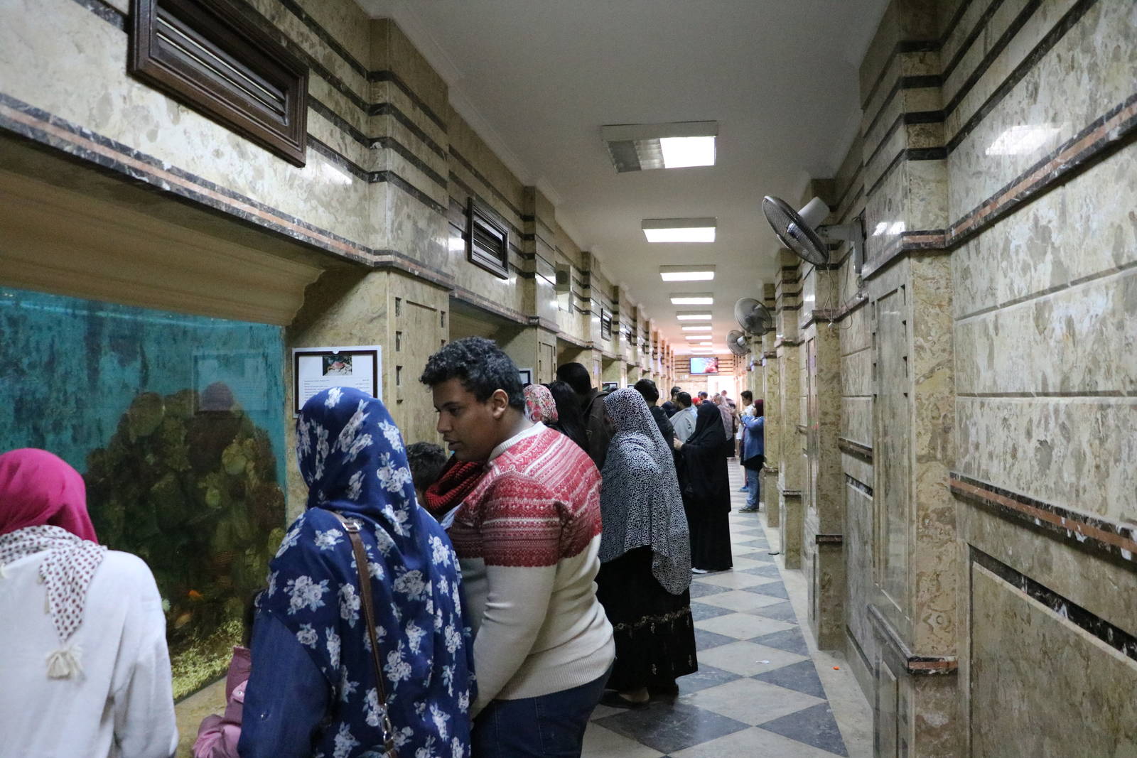 Aquarium corridor, February 2016