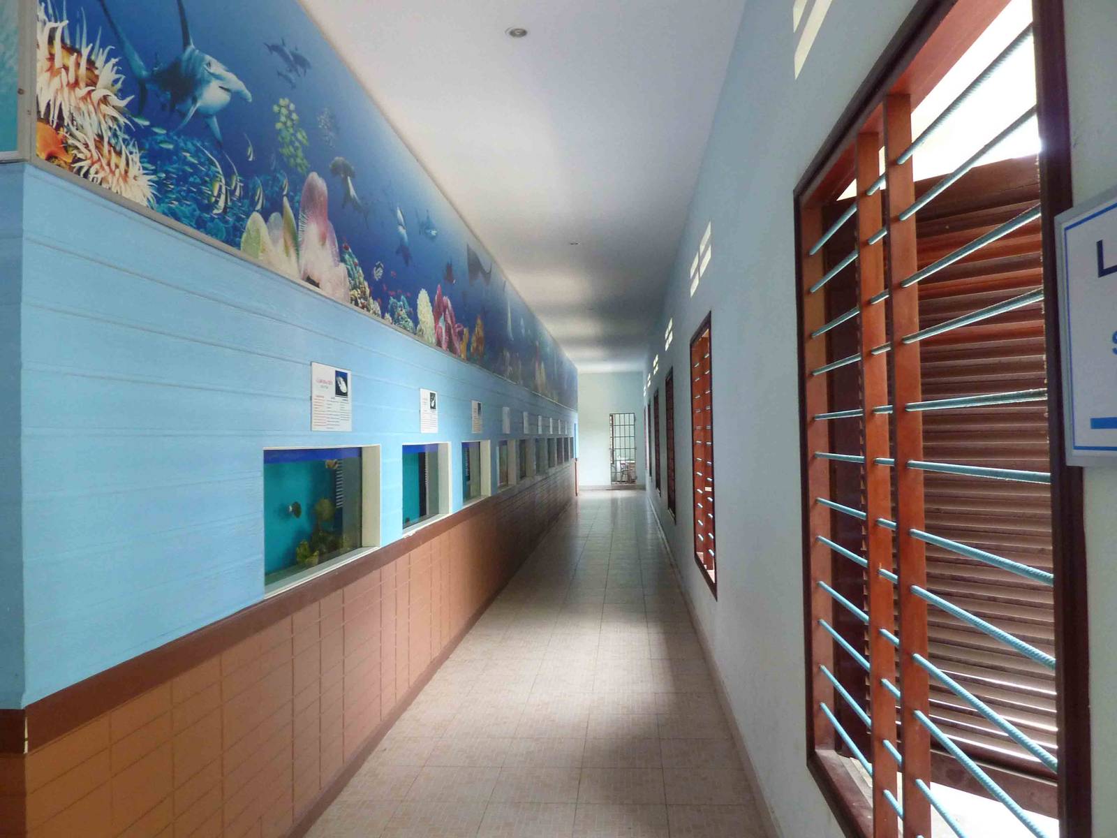 Aquarium corridor, May 2013.