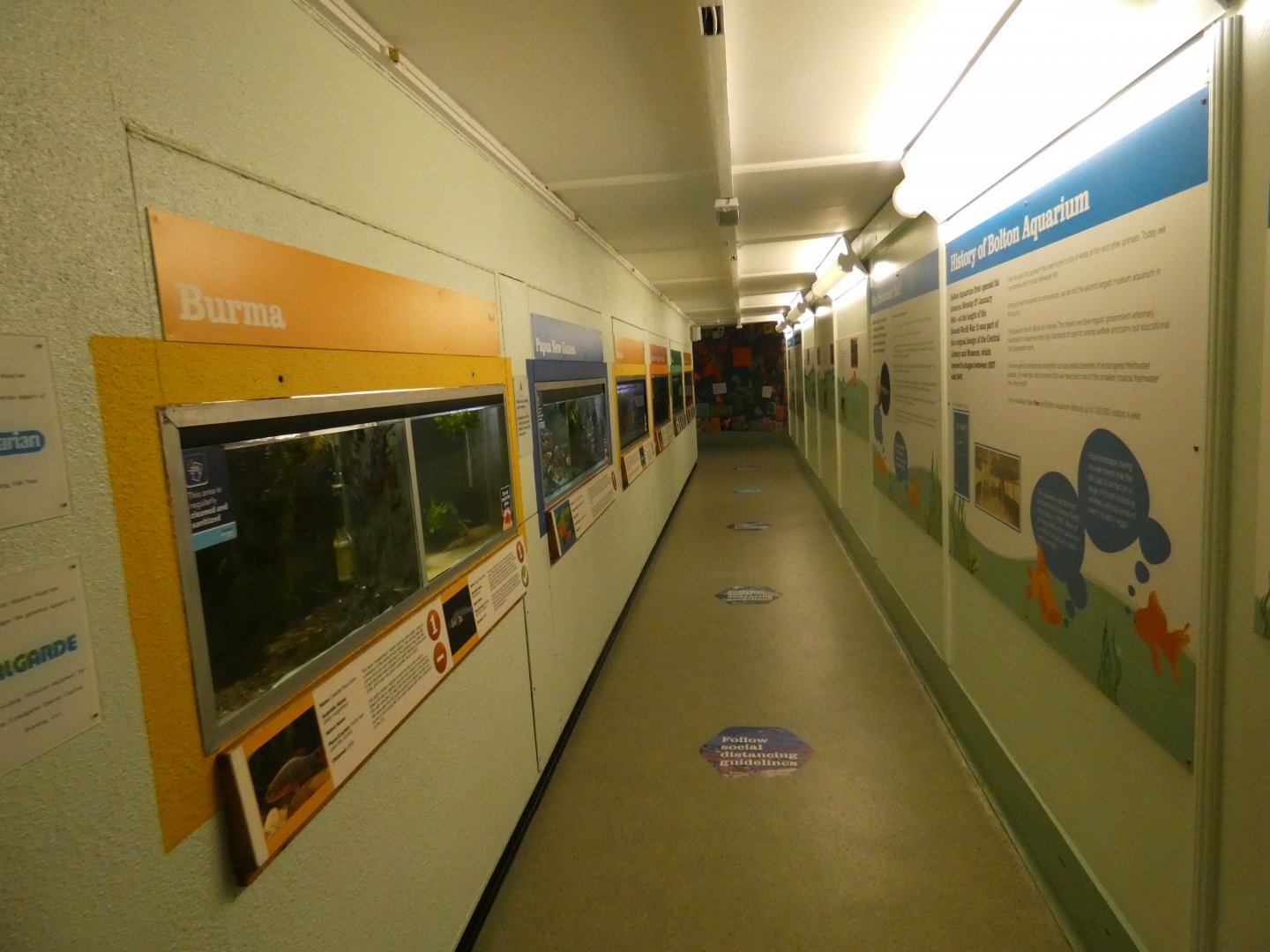 Aquarium corridor