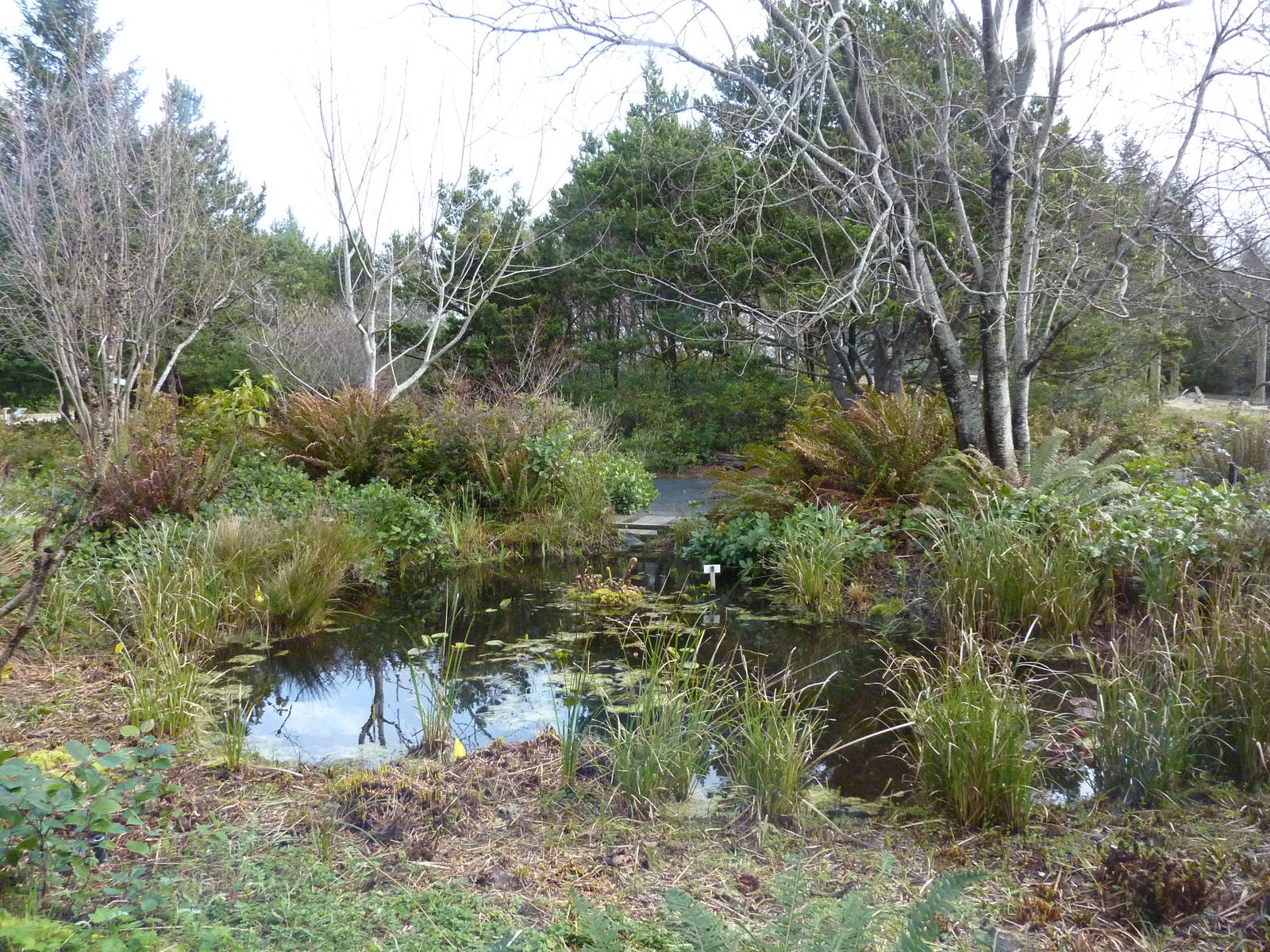 Aquarium Courtyard Pond