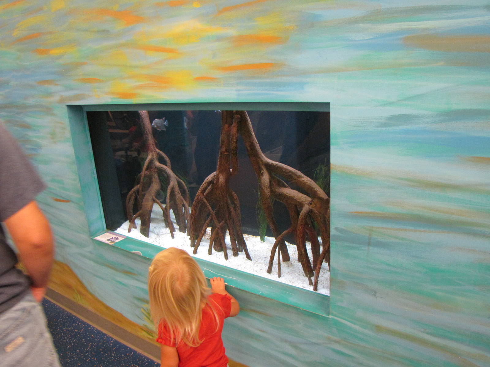 Aquarium Display - Children's Zoo