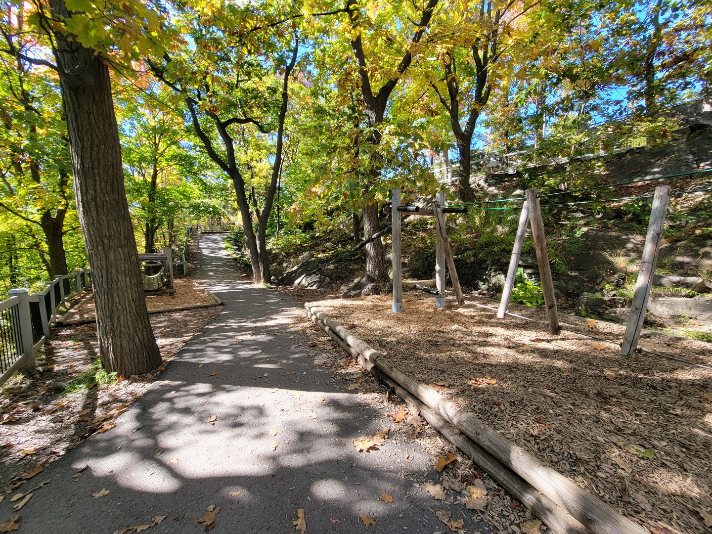 Aquarium du Quebec - Adventure course