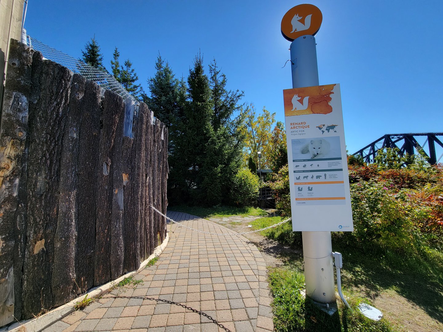 Aquarium du Quebec - Arctic Fox, closed path behind exhibit