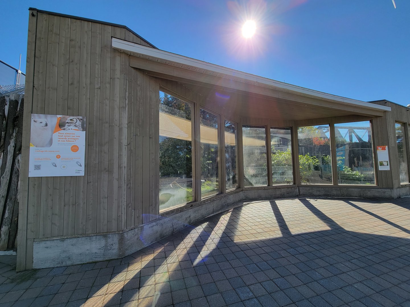 Aquarium du Quebec - Arctic Fox