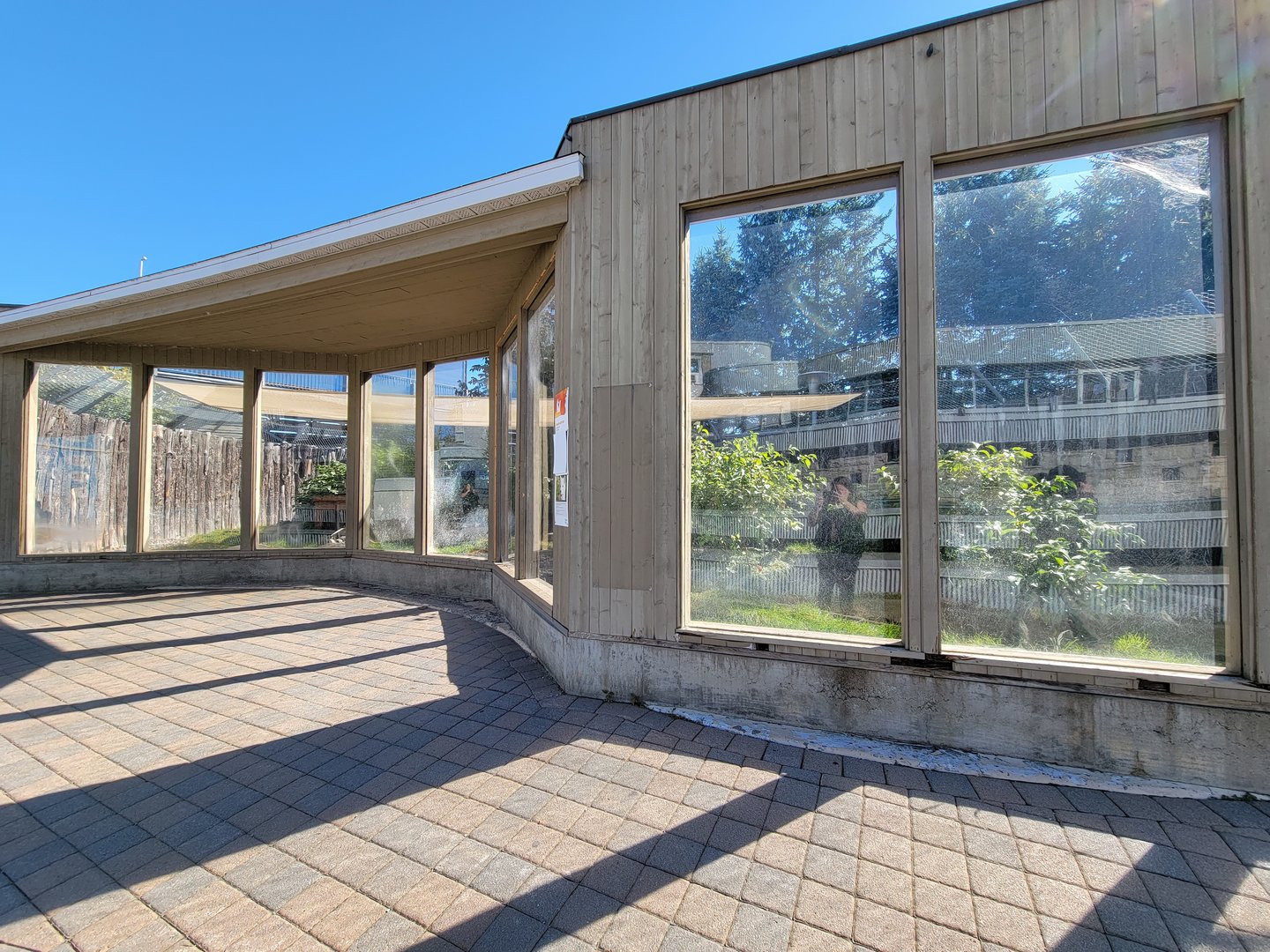 Aquarium du Quebec - Arctic Fox