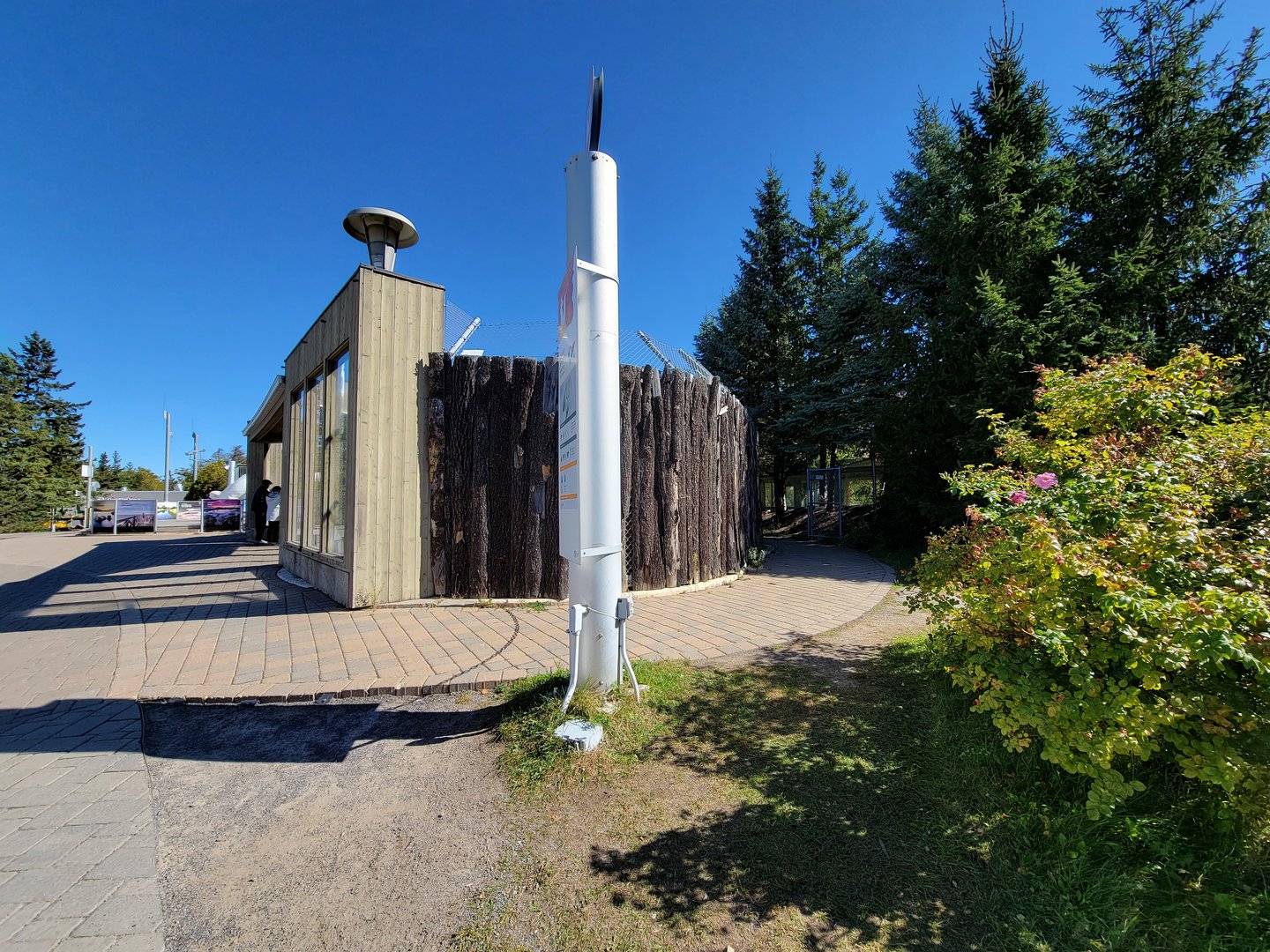 Aquarium du Quebec - Arctic Fox