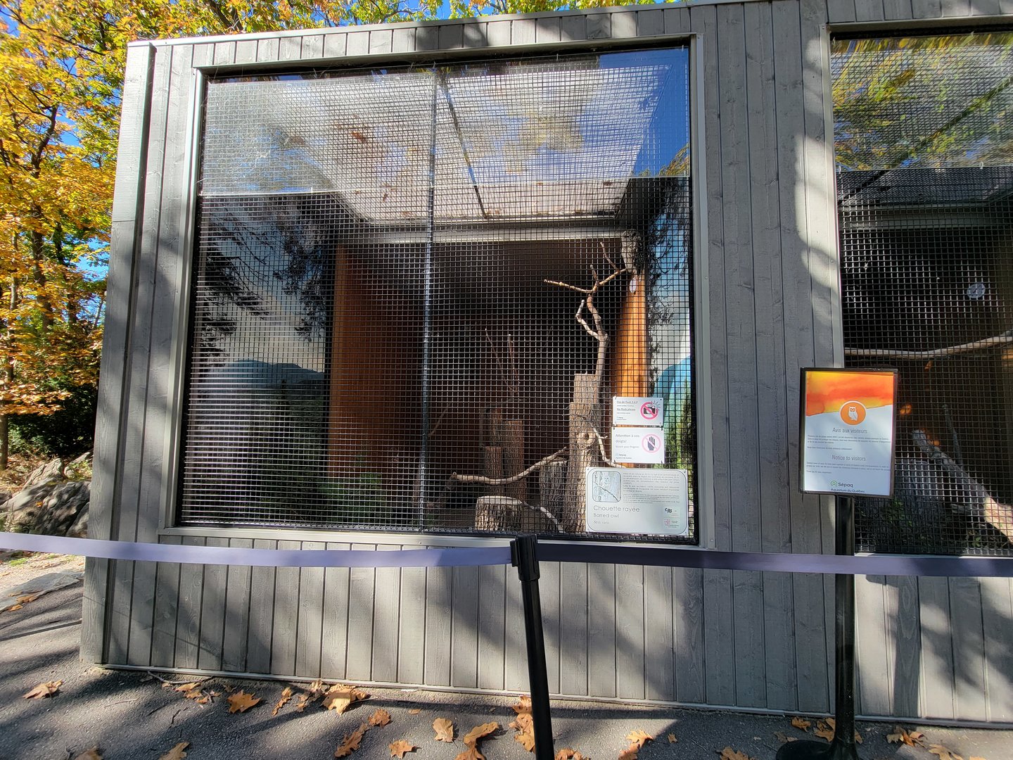 Aquarium du Quebec - Barred Owl