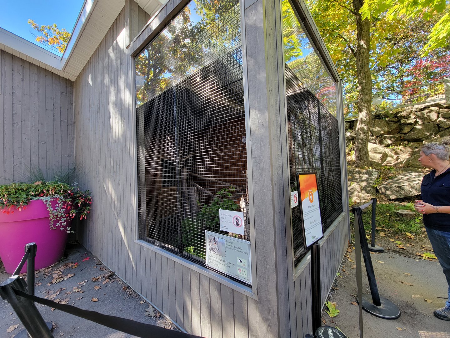 Aquarium du Quebec - Eurasian Eagle-Owl