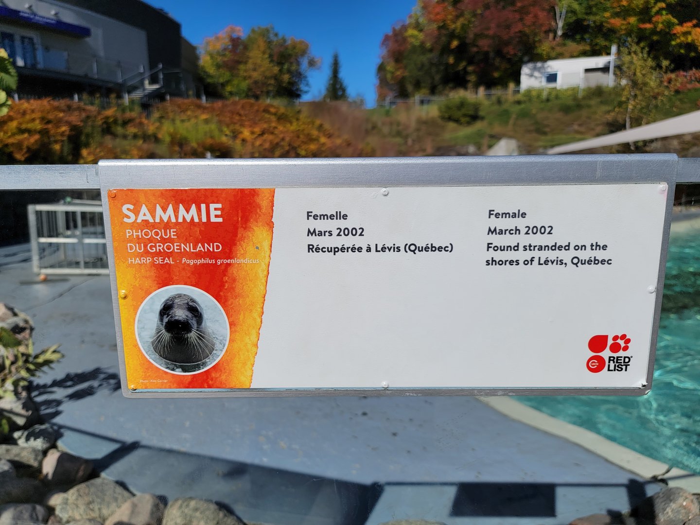Aquarium du Quebec - Example of seal signage