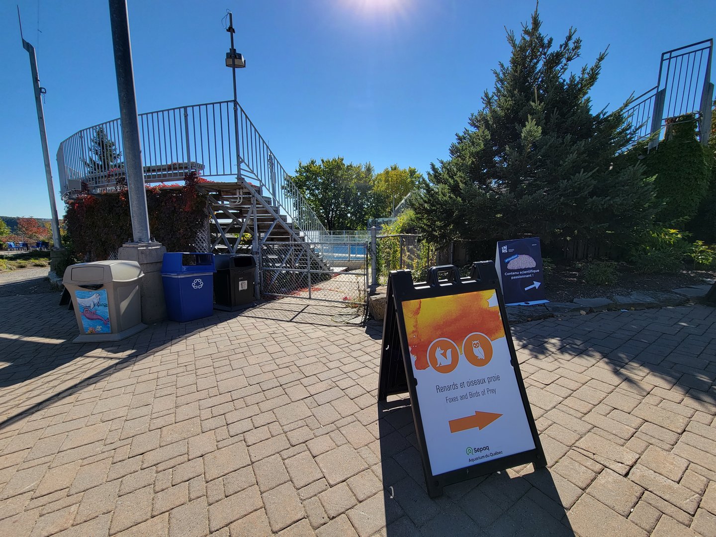 Aquarium du Quebec - old Harbor Seal pool