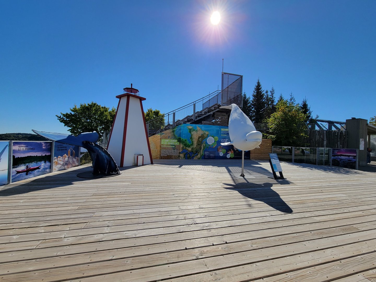 Aquarium du Quebec - old Harbor Seal pool