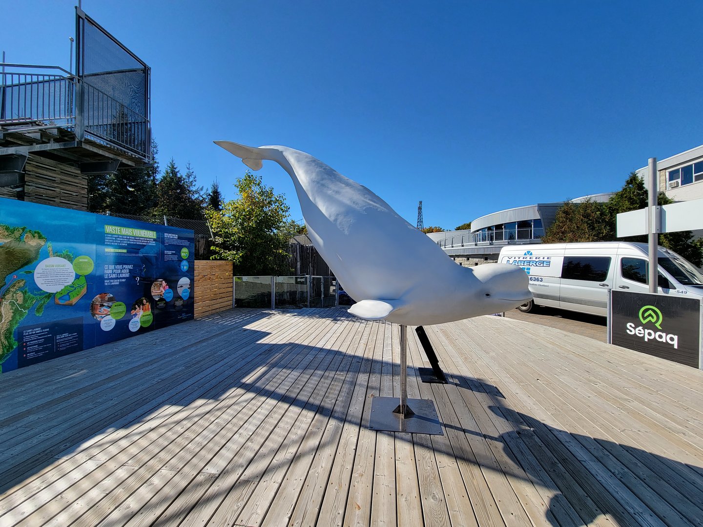 Aquarium du Quebec - old Harbor Seal pool