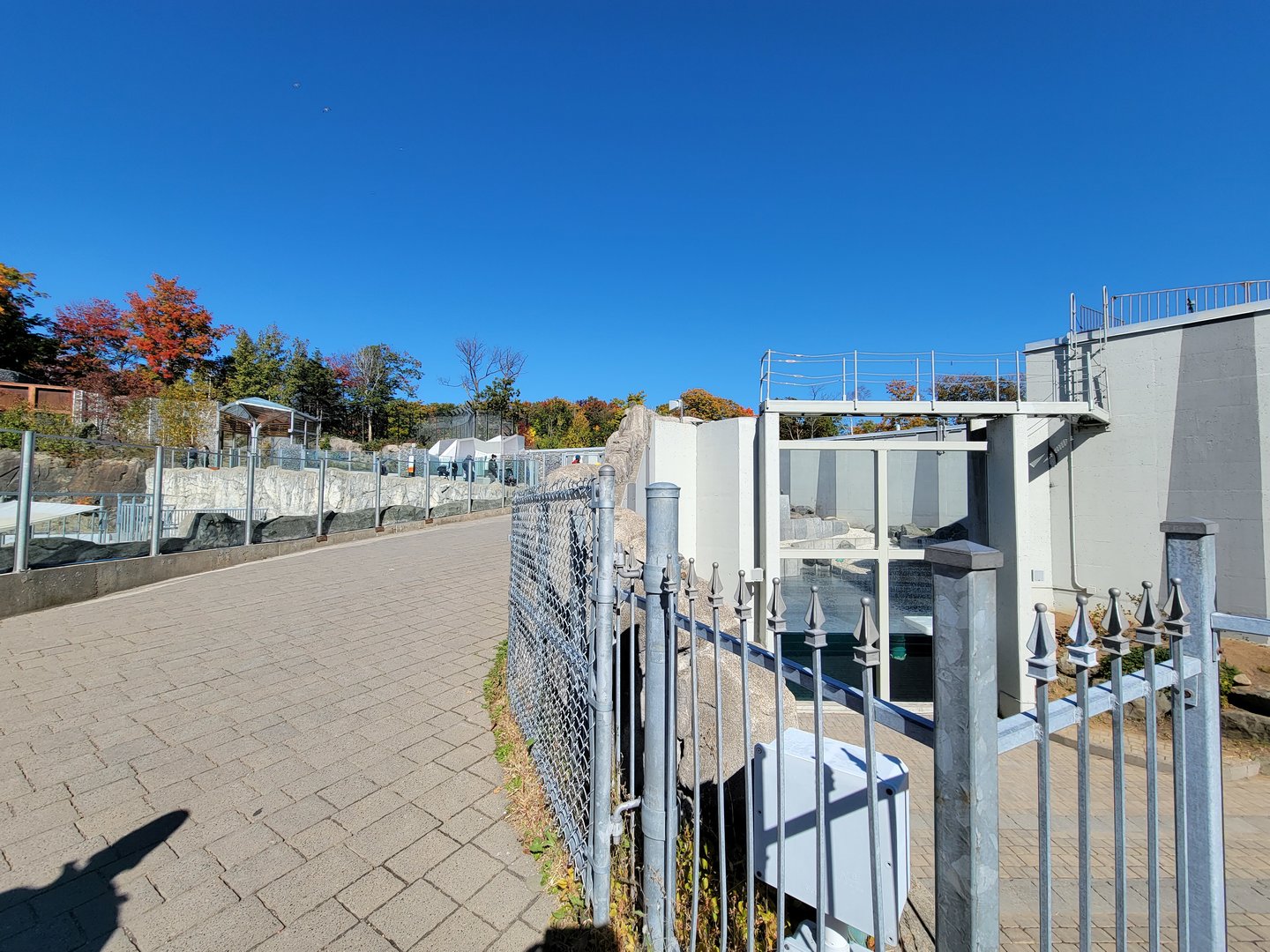 Aquarium du Quebec - Path between walrus and polar bears, bear underwater viewing to the right