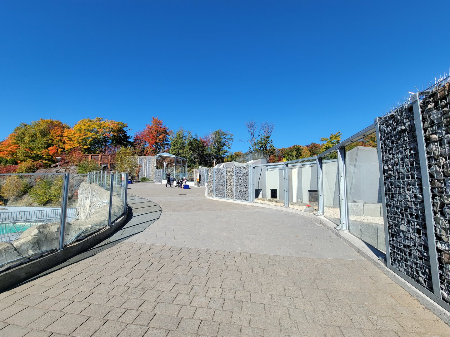 Aquarium du Quebec - Path between walrus and polar bears