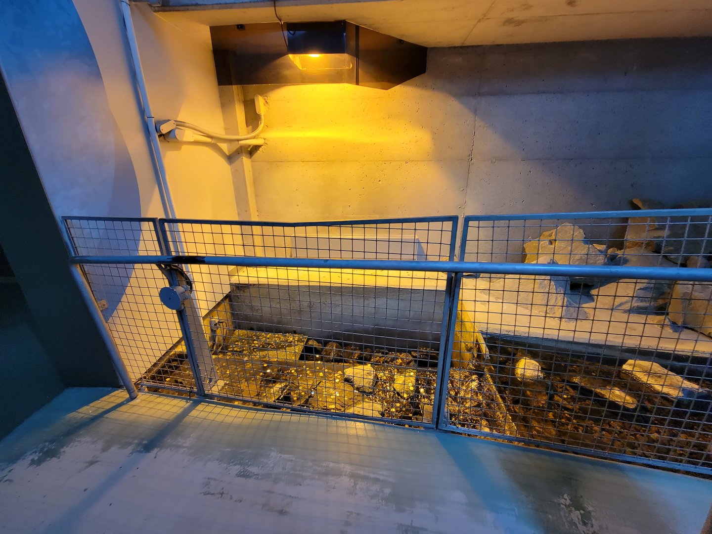 Aquarium du Quebec - Pavillon des eaux douces et salées, 1st Floor, area where people toss coins?