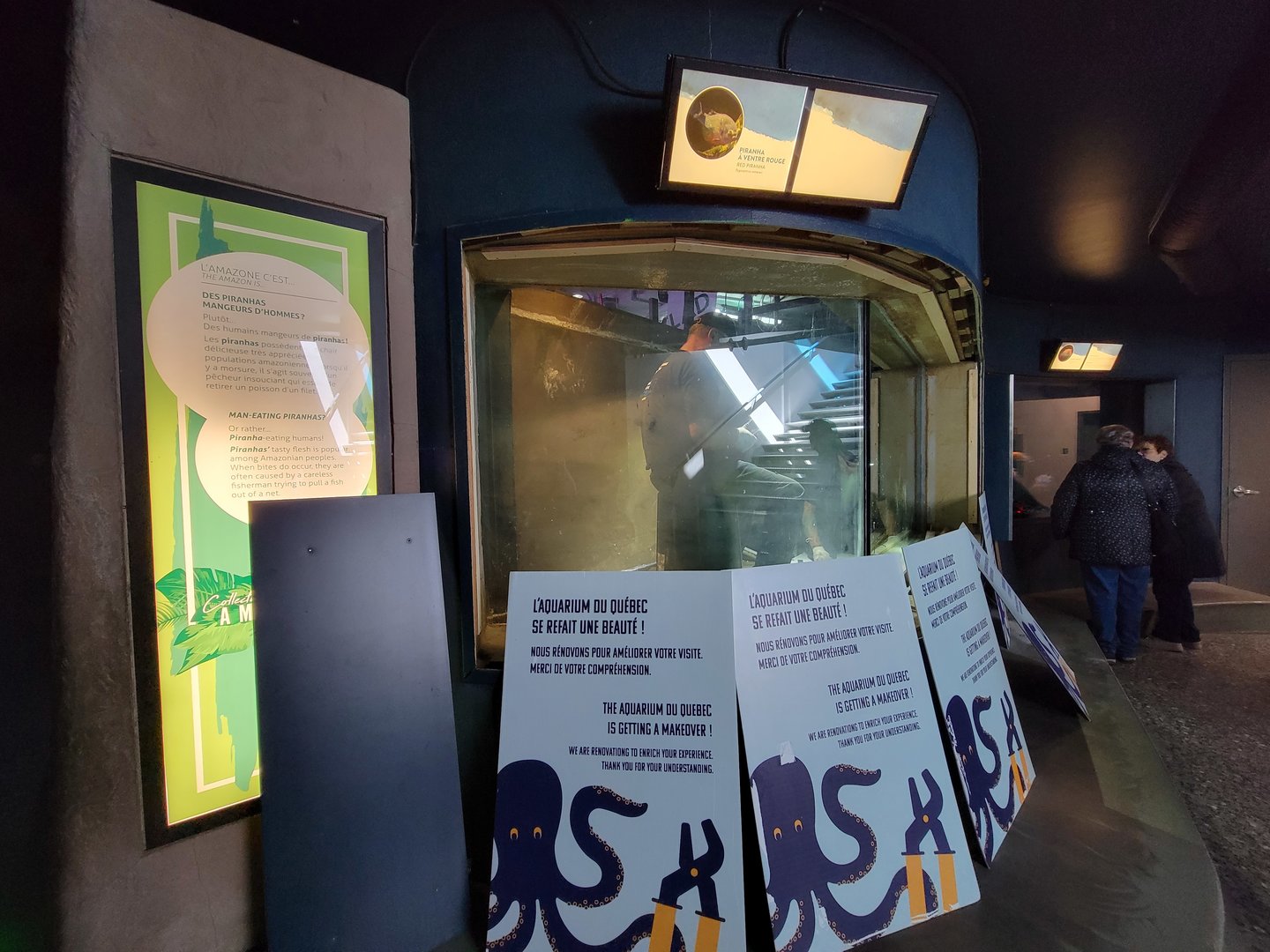 Aquarium du Quebec - Pavillon des eaux douces et salées, 1st Floor, Piranha tank construction