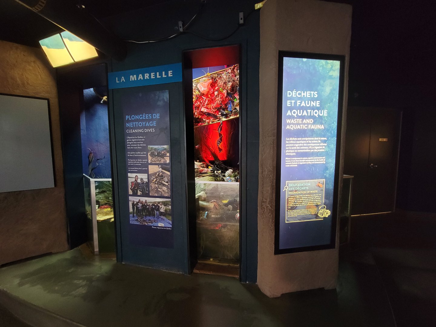 Aquarium du Quebec - Pavillon des eaux douces et salées, 2nd floor, diving for waste