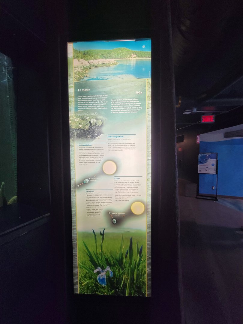 Aquarium du Quebec - Pavillon des eaux douces et salées, 2nd floor, example of habitat signage