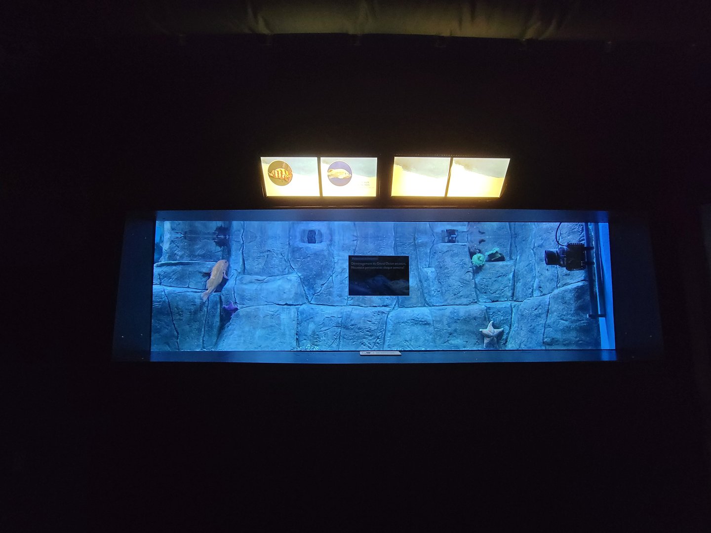 Aquarium du Quebec - Pavillon des eaux douces et salées, 2nd floor, Ocean Trenches