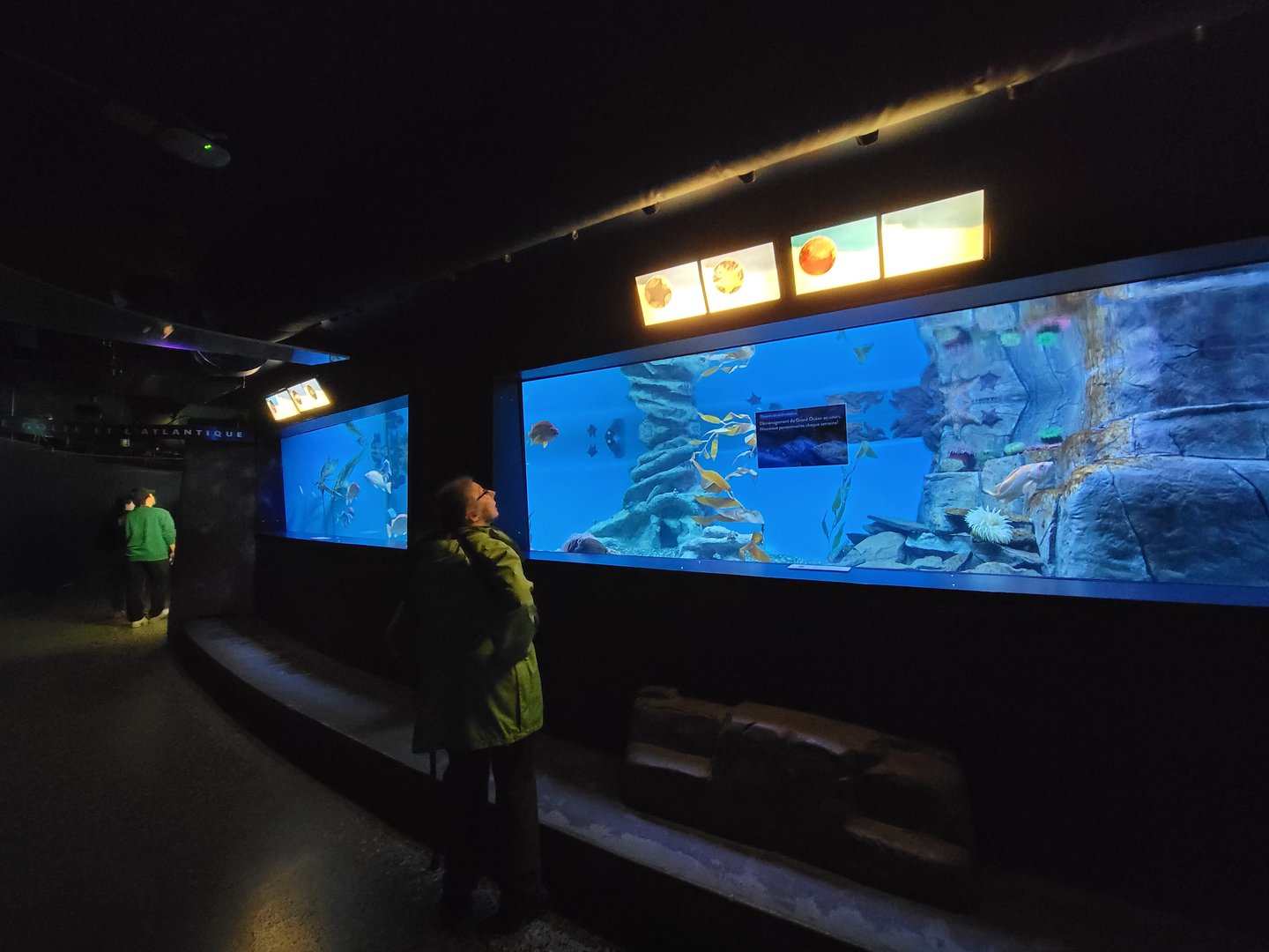Aquarium du Quebec - Pavillon des eaux douces et salées, 2nd floor, Ocean Trenches