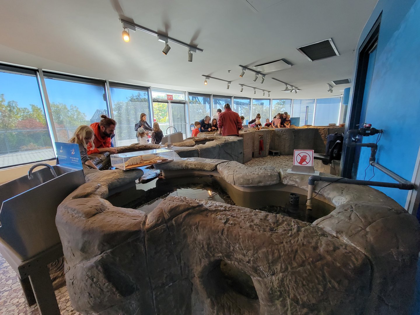 Aquarium du Quebec - Pavillon des eaux douces et salées, 3rd floor, coastal waters touch tank