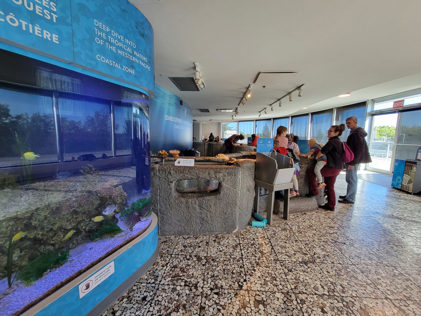 Aquarium du Quebec - Pavillon des eaux douces et salées, 3rd floor, Coastal Zones touch tank