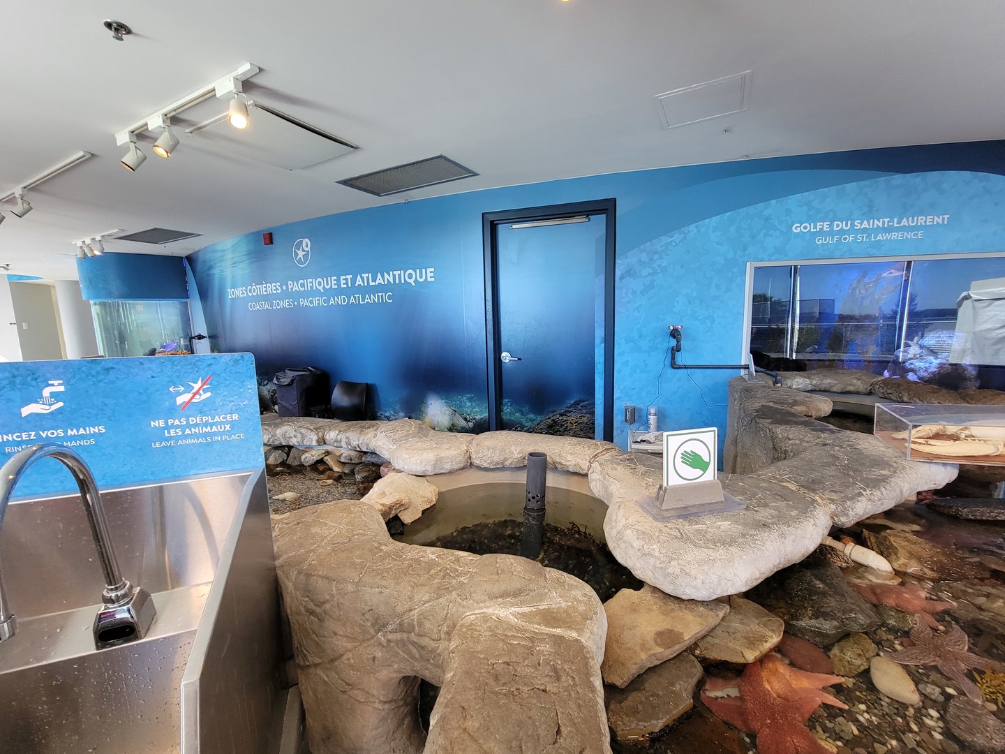 Aquarium du Quebec - Pavillon des eaux douces et salées, 3rd floor, Coastal Zones touch tank