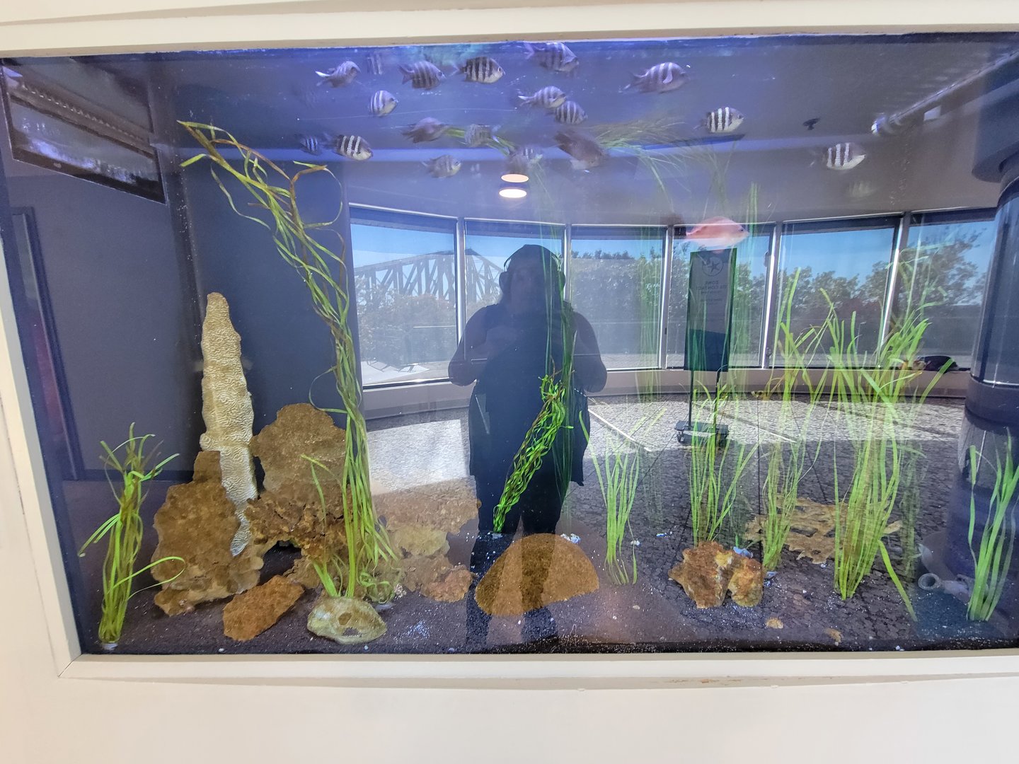 Aquarium du Quebec - Pavillon des eaux douces et salées, 3rd floor, first coastal tank