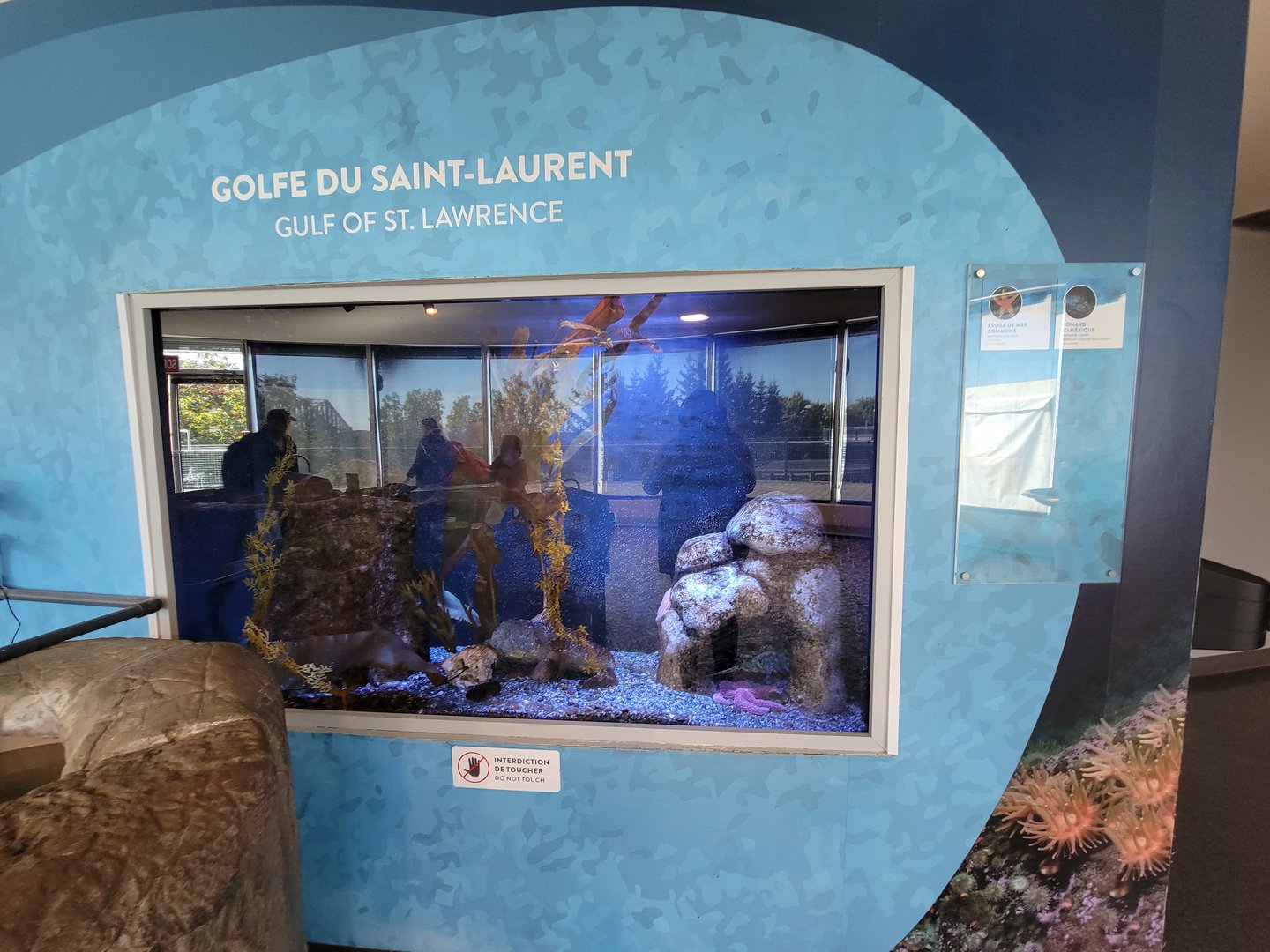 Aquarium du Quebec - Pavillon des eaux douces et salées, 3rd floor, Gulf of St Lawrence