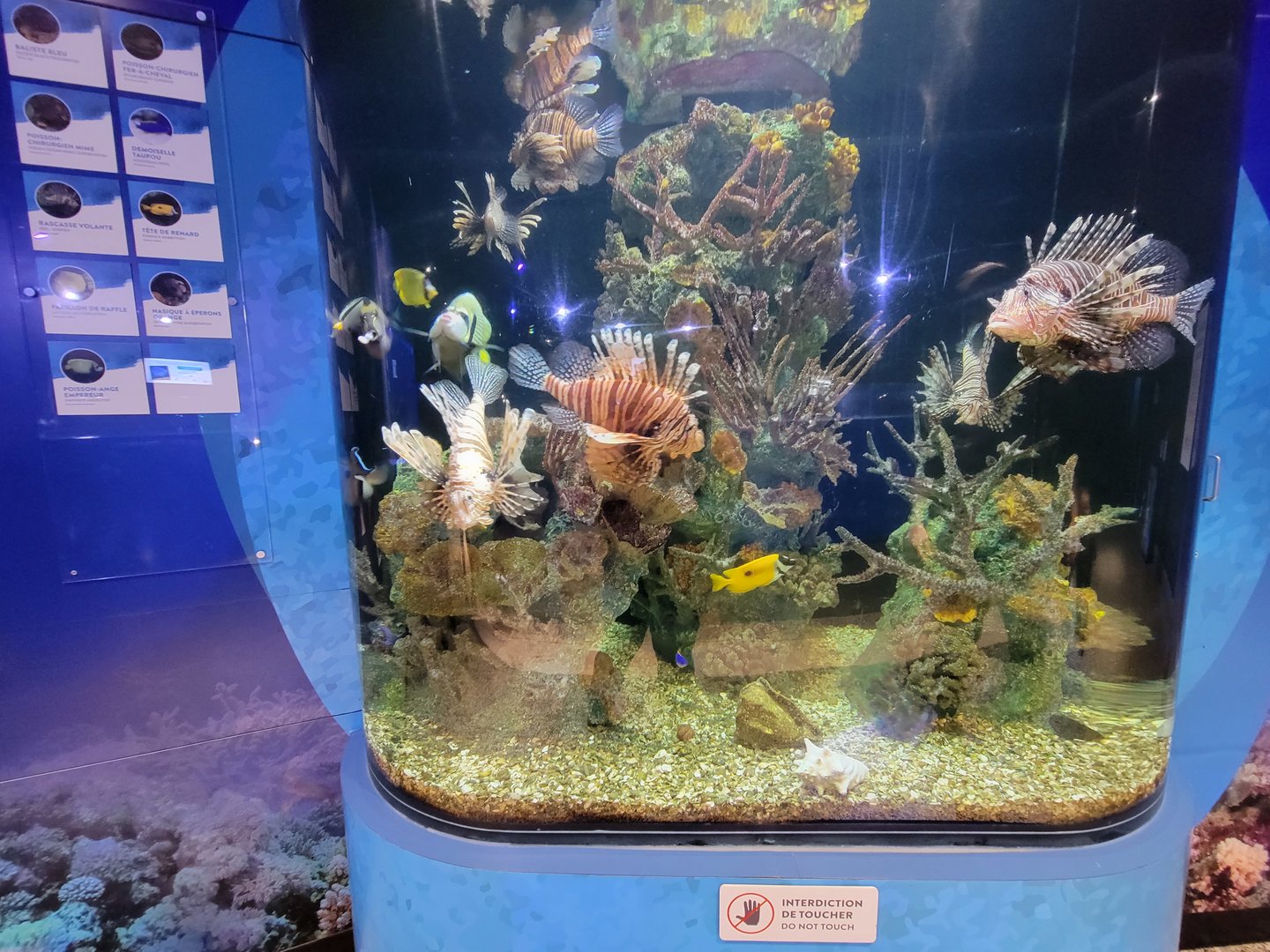 Aquarium du Quebec - Pavillon des eaux douces et salées, 3rd floor, salt reef tank