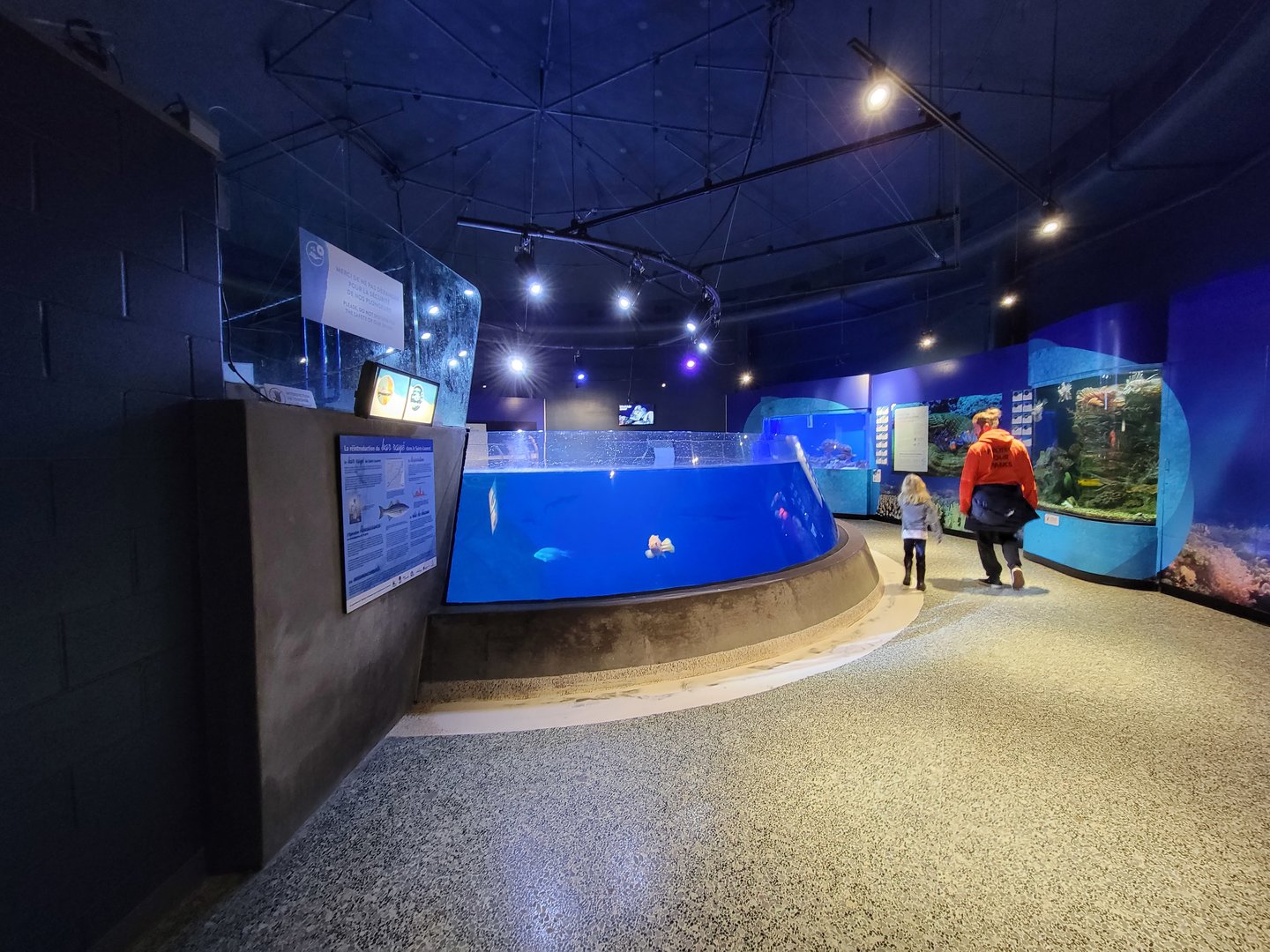 Aquarium du Quebec - Pavillon des eaux douces et salées, 3rd floor, Top of Tunnel