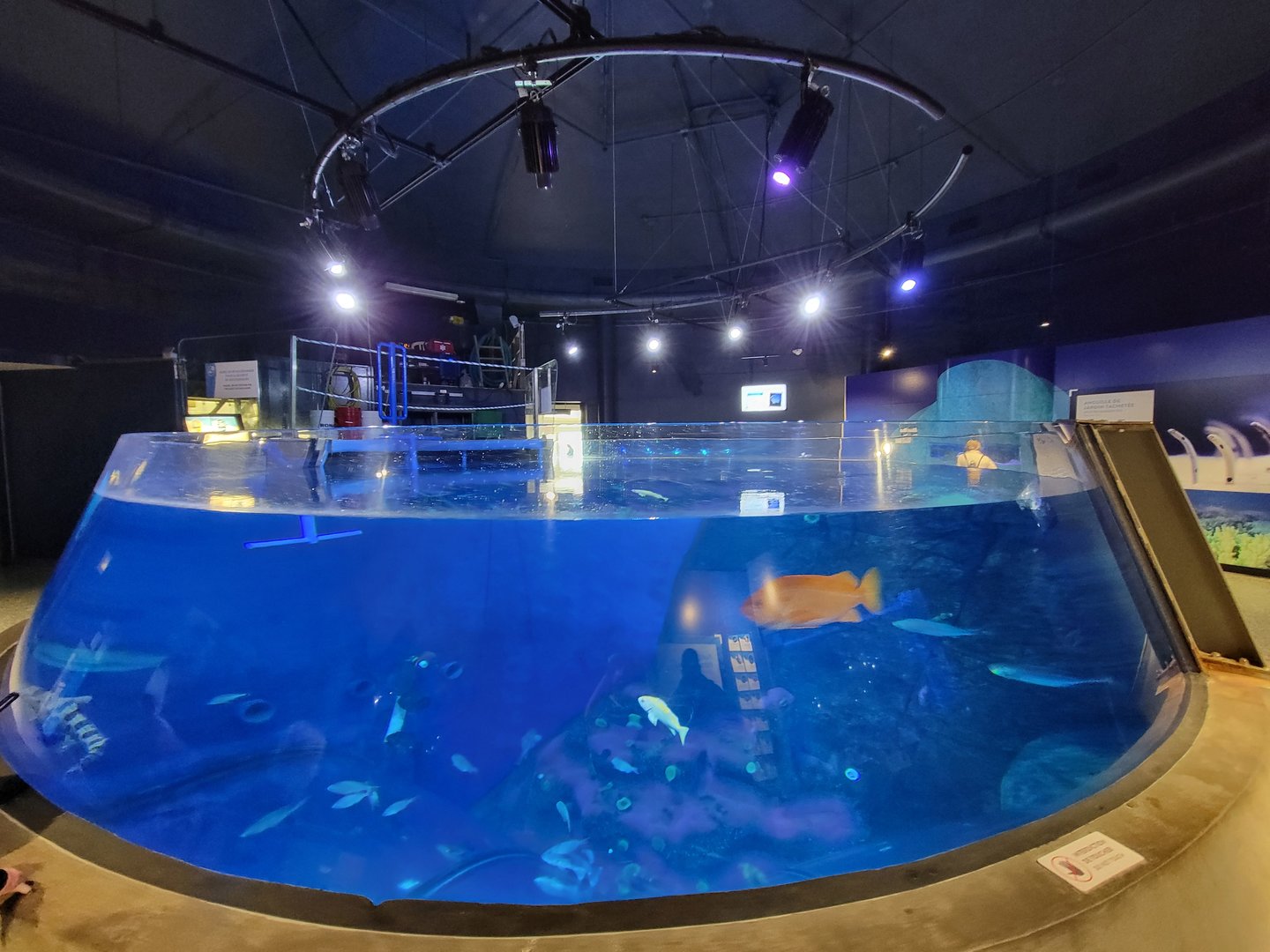 Aquarium du Quebec - Pavillon des eaux douces et salées, 3rd floor, Top of tunnel