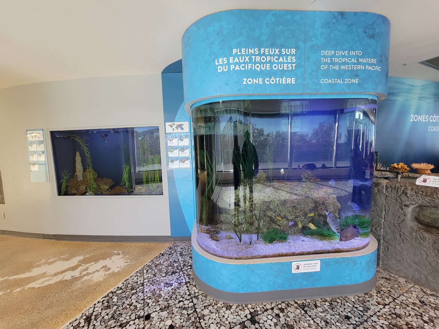 Aquarium du Quebec - Pavillon des eaux douces et salées, 3rd floor, Western Pacific Coastal Zone