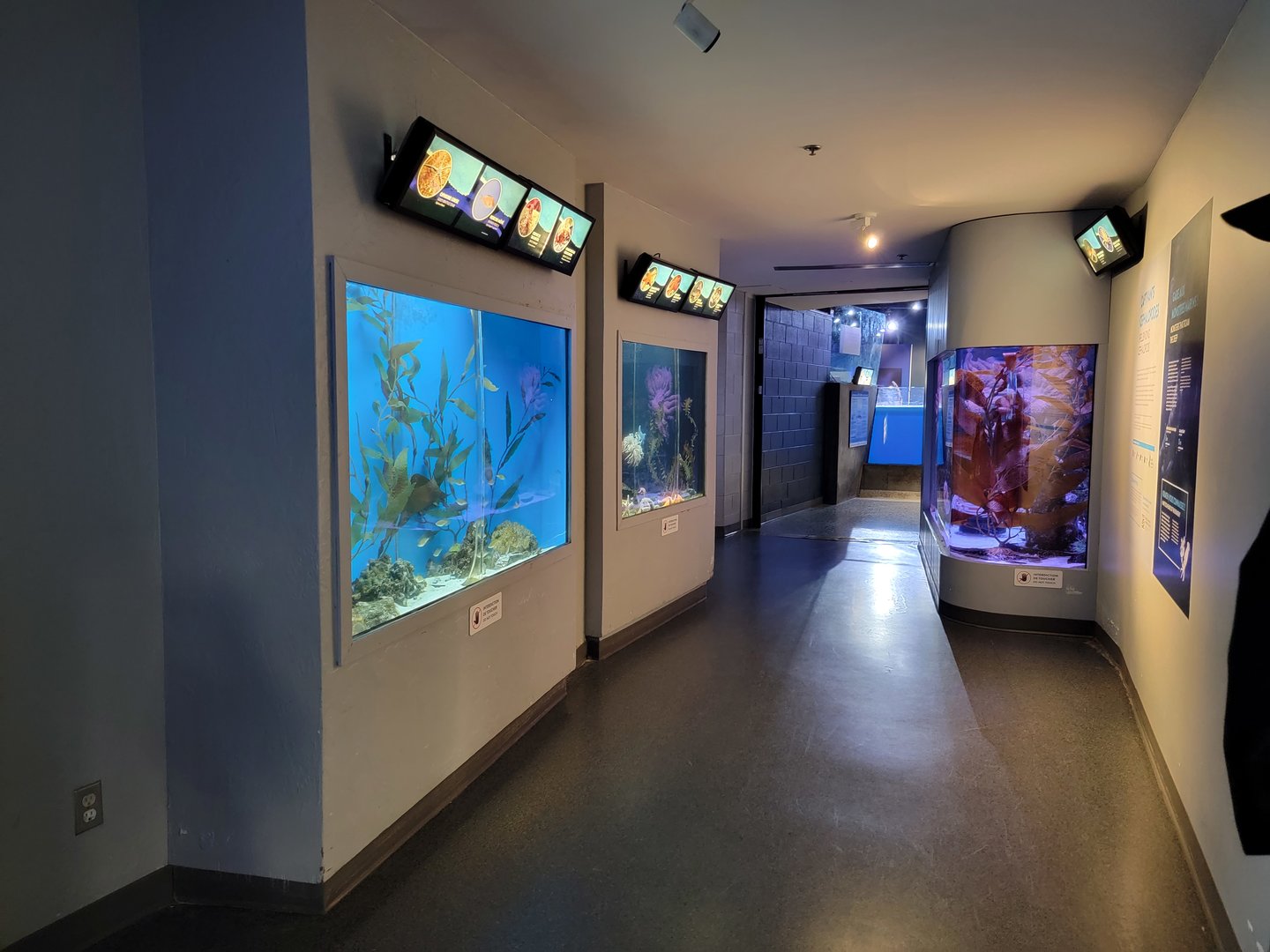 Aquarium du Quebec - Pavillon des eaux douces et salées, 3rd floor