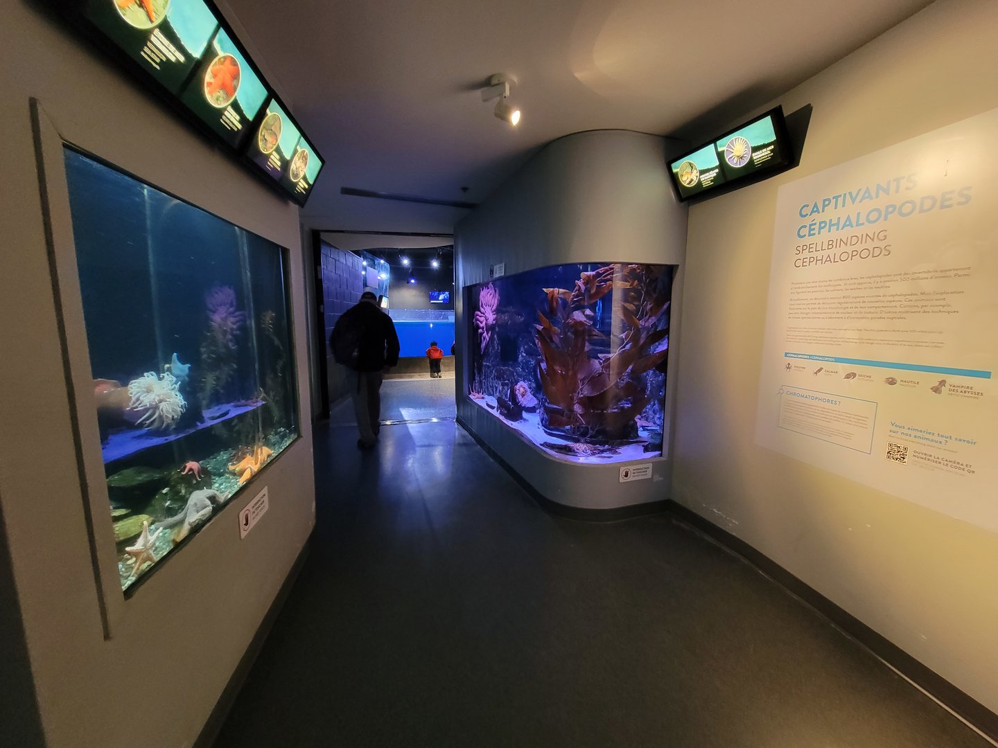 Aquarium du Quebec - Pavillon des eaux douces et salées, 3rd floor