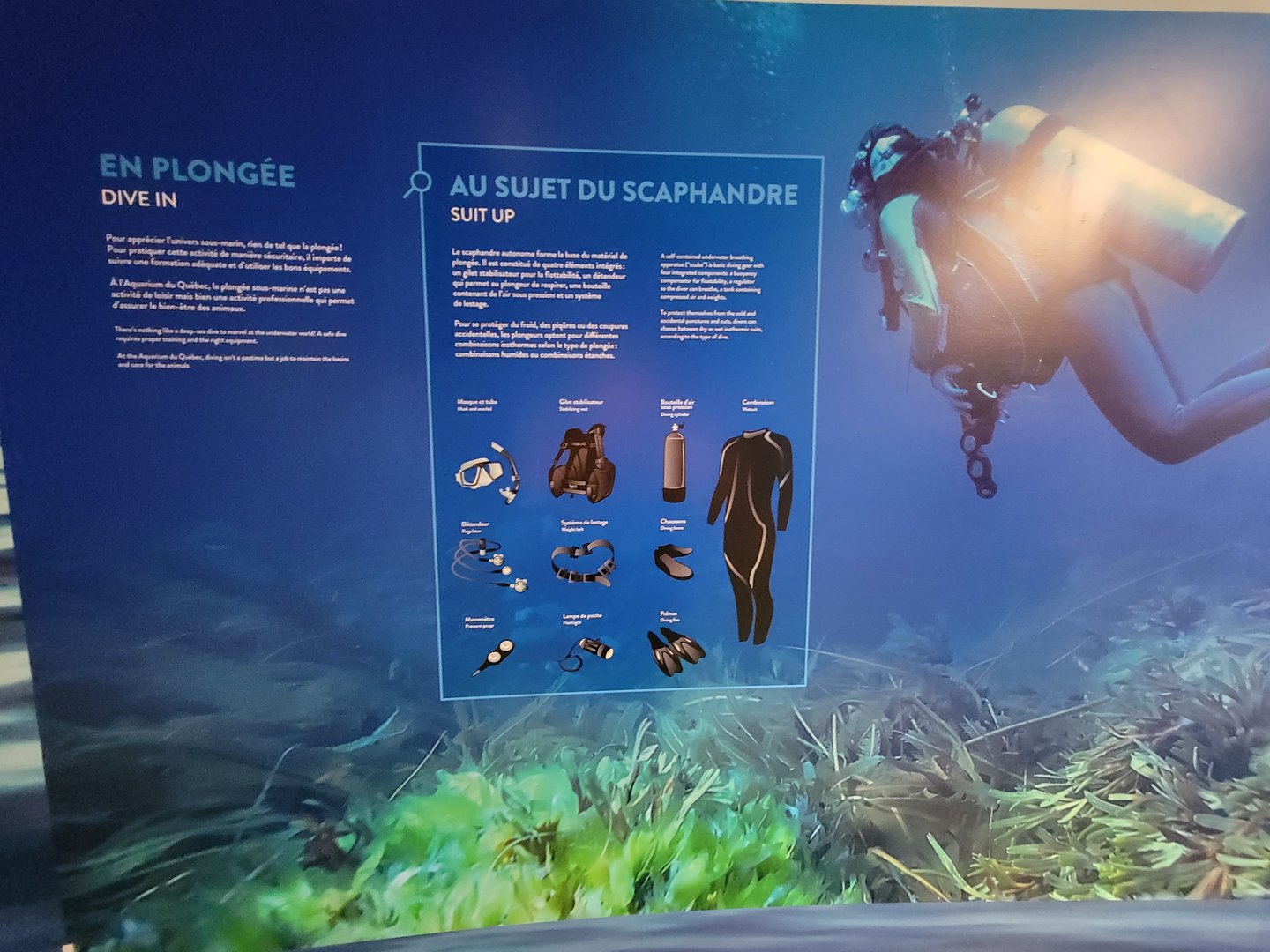 Aquarium du Quebec - Pavillon des eaux douces et salées, The Great Ocean Tunnel