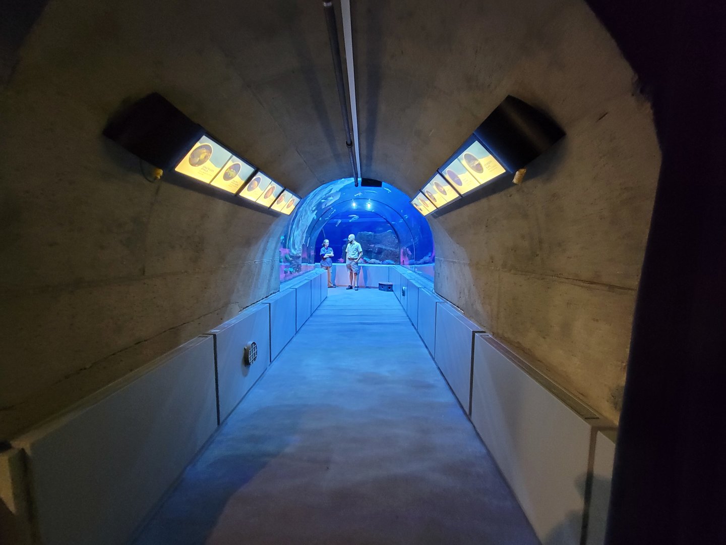 Aquarium du Quebec - Pavillon des eaux douces et salées, The Great Ocean Tunnel