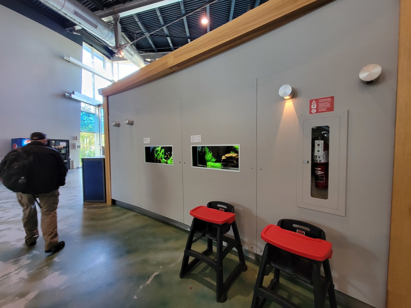 Aquarium du Quebec - Pavillon des eaux douces et salées, Two small tanks next to restaurant